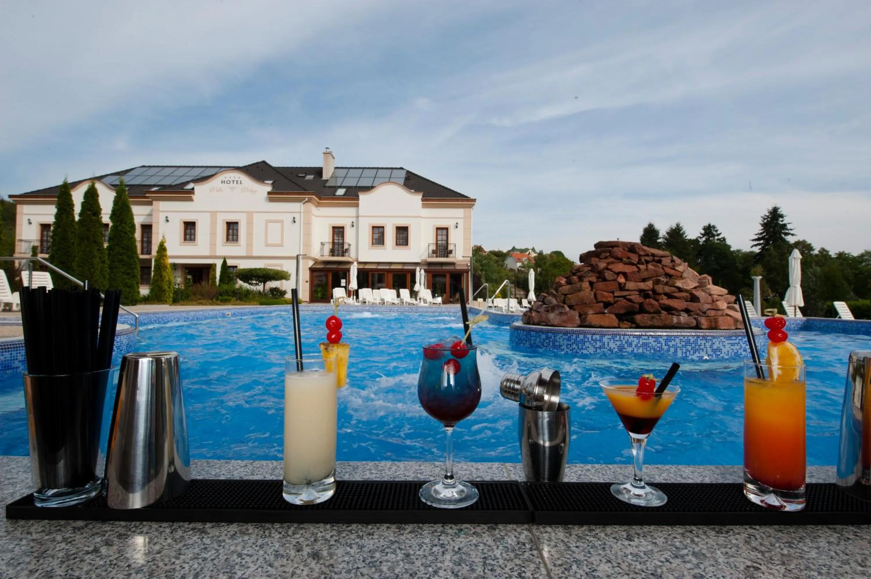 Food and drinks in Hotel Villa Völgy Wellness & Konferencia