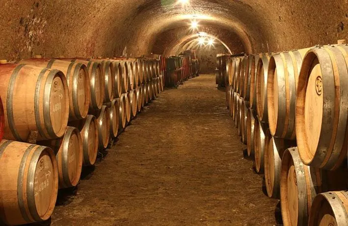 Other in Hotel Villa Völgy Wellness & Konferencia