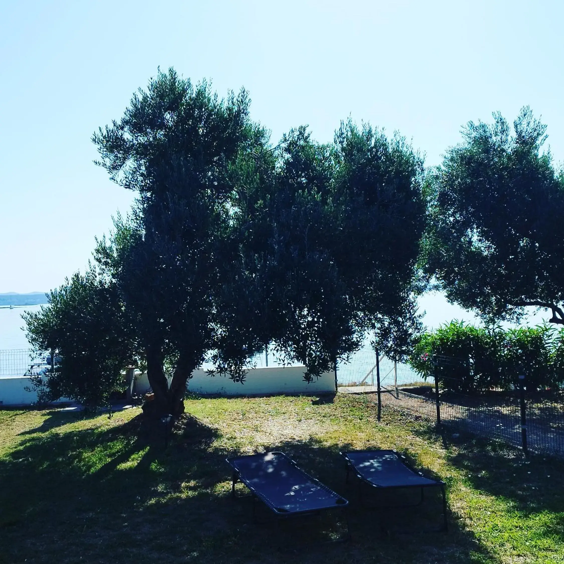 Mobile Home in Petra's garden Mobile Home in Petra's garden