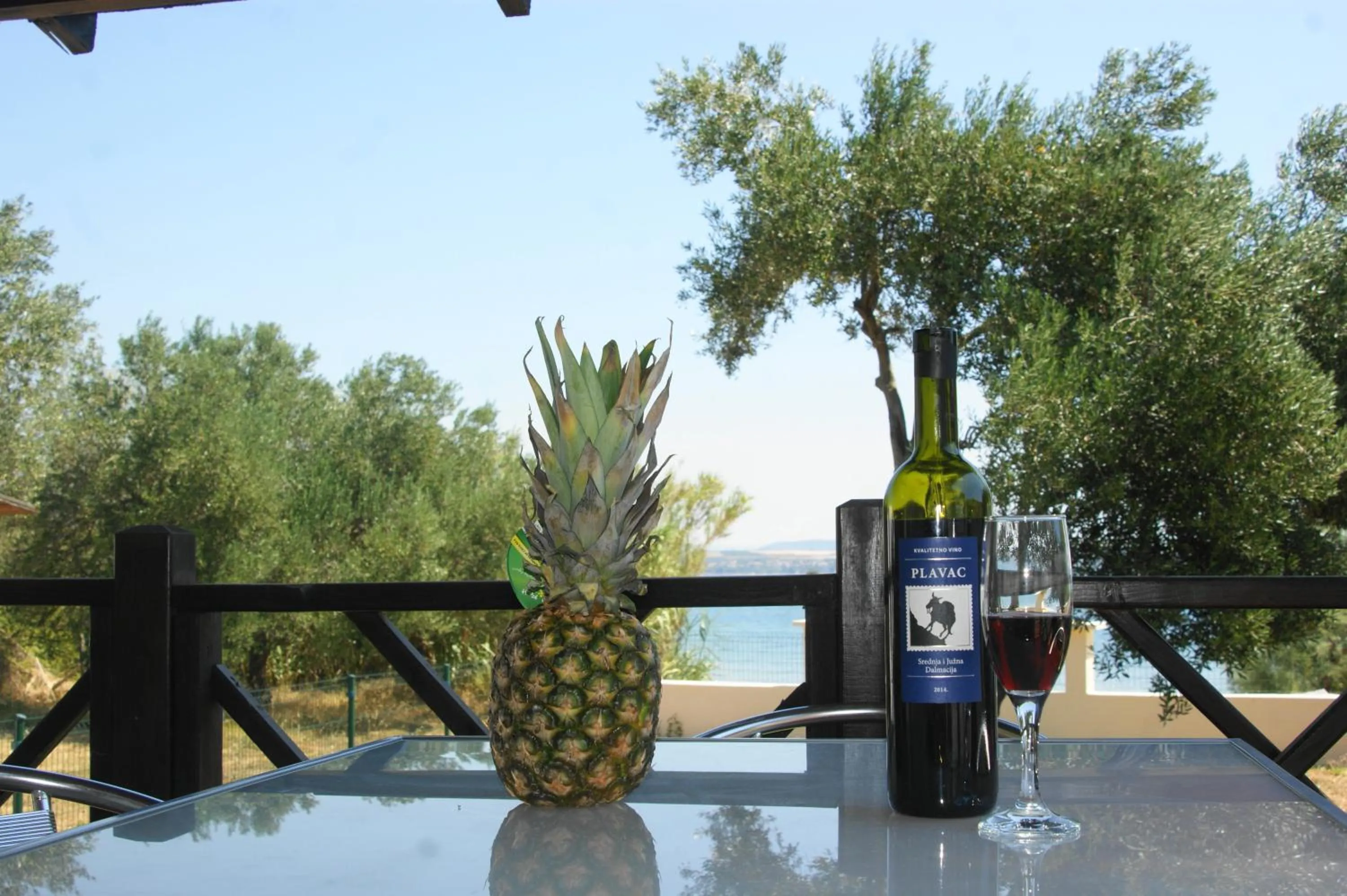 Balcony/Terrace in Petra's garden