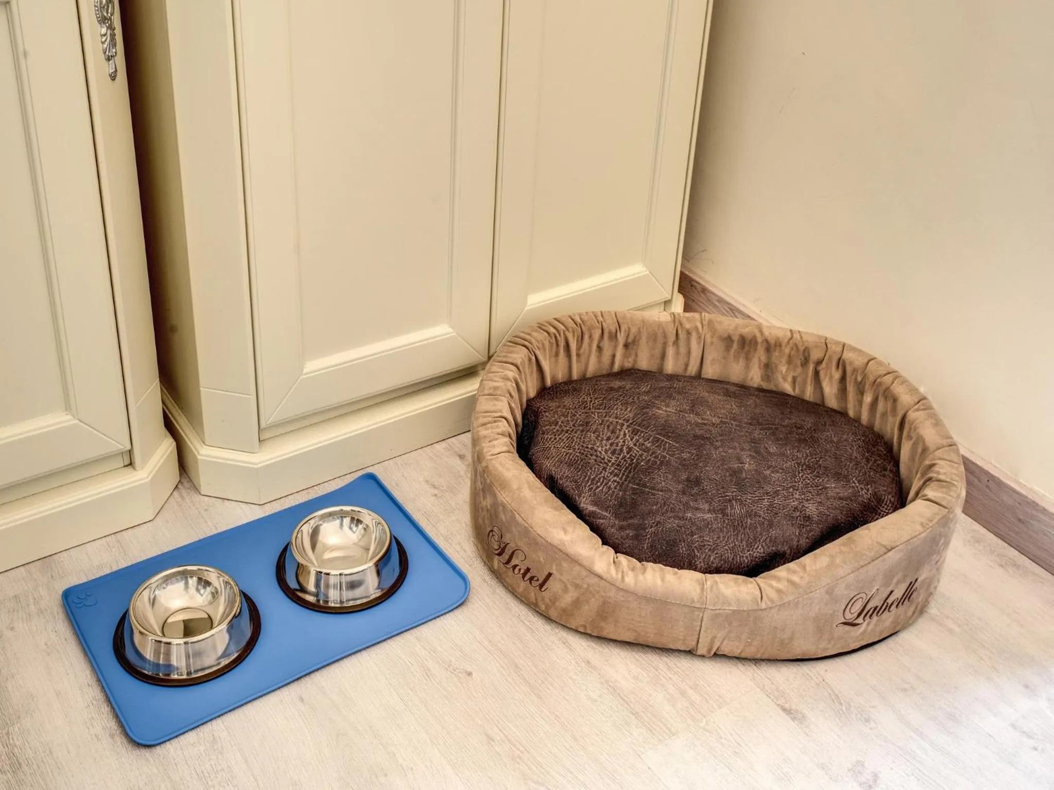 Animals in Hotel Labelle