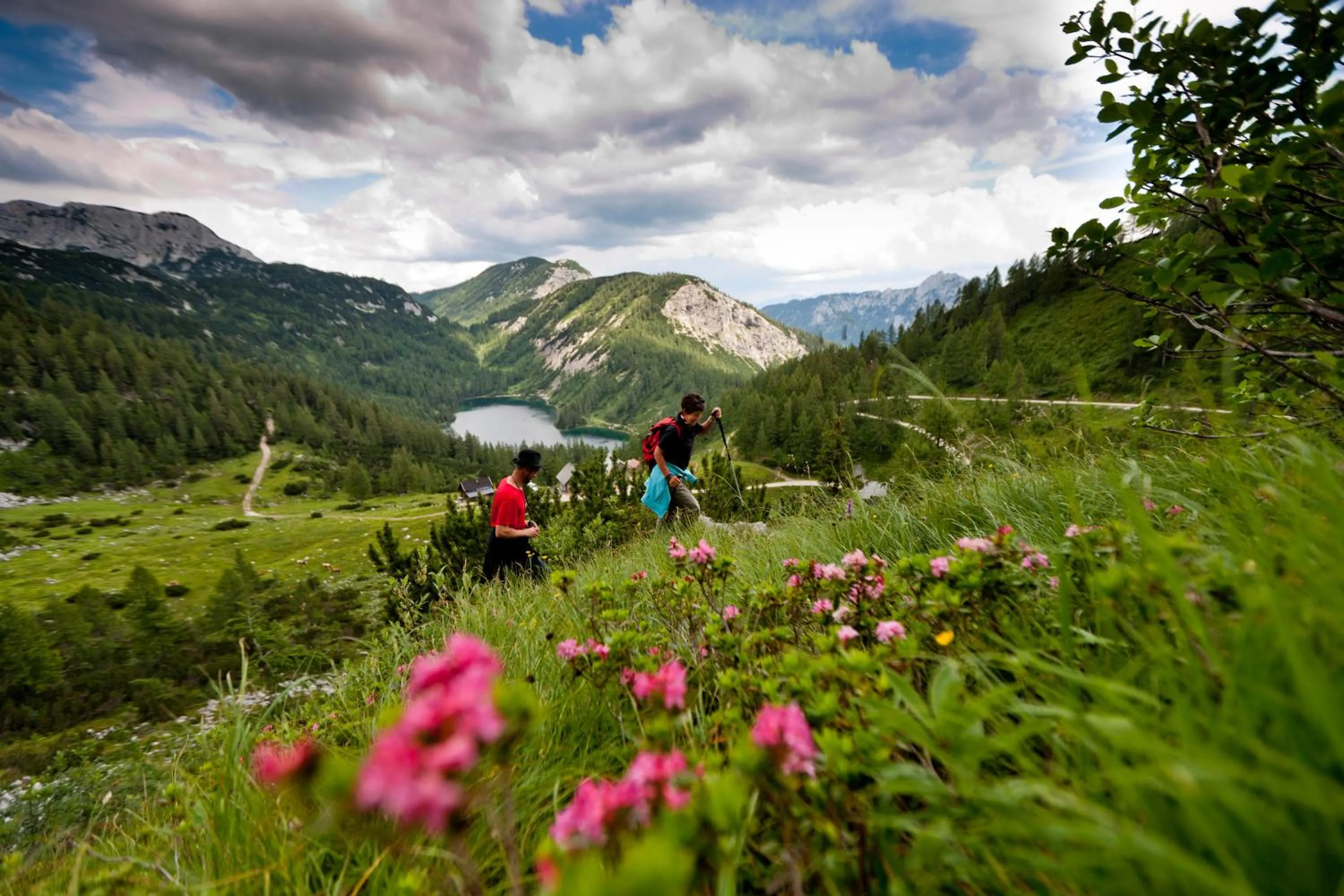 Hiking in Der Seebacherhof