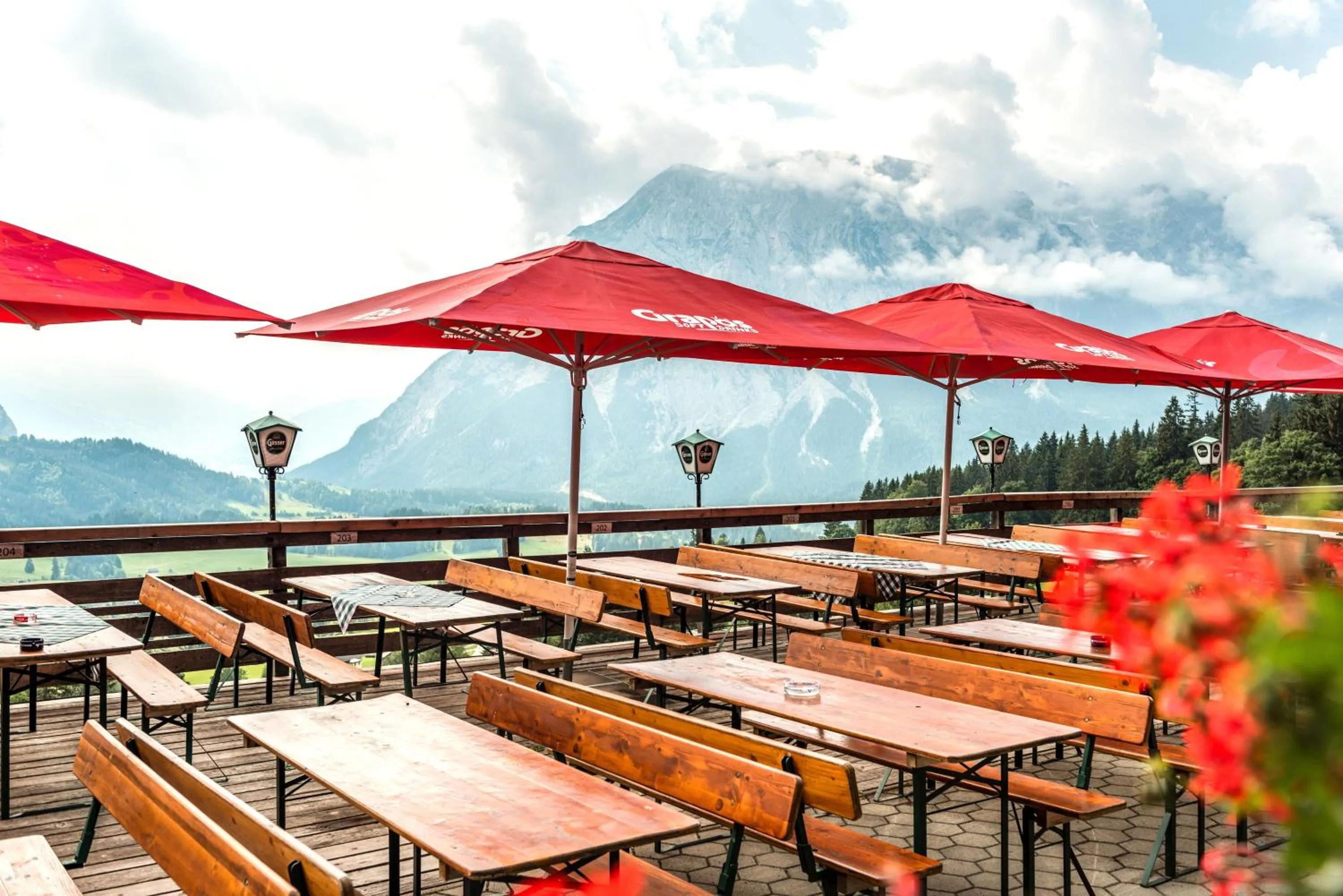 Restaurant/places to eat in Der Seebacherhof