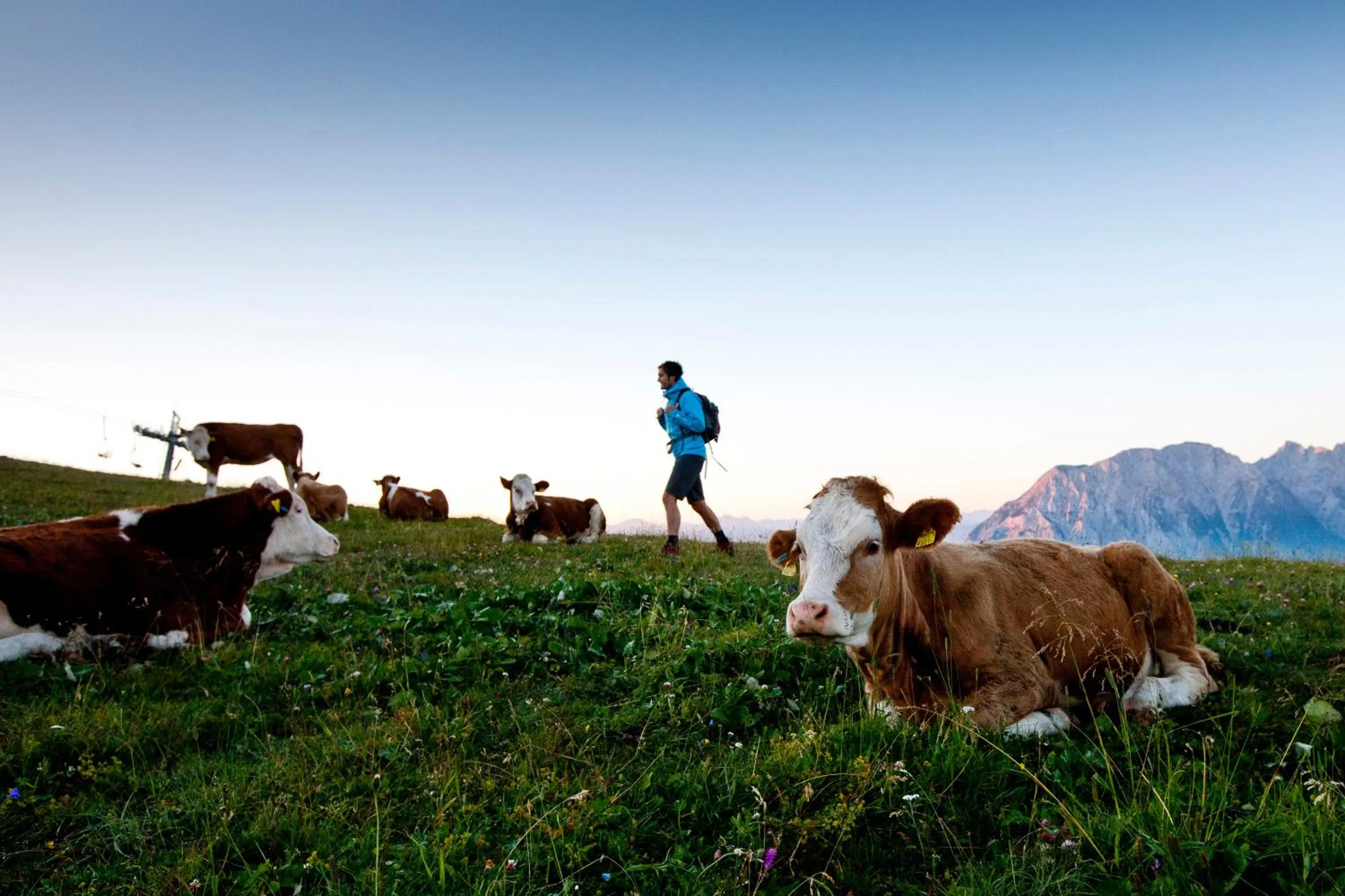 Hiking in Der Seebacherhof