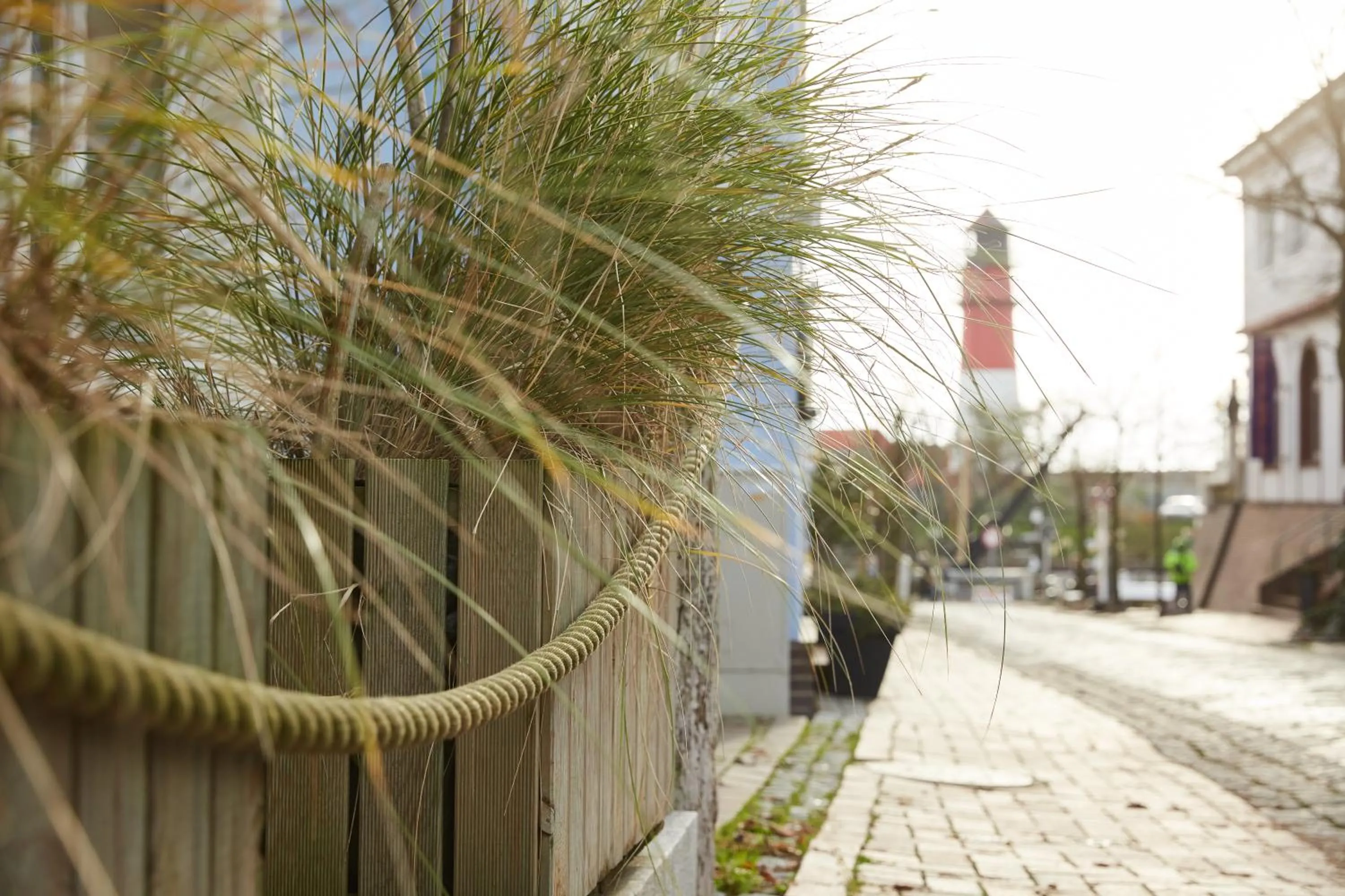 Area and facilities in Strandhotel Salty