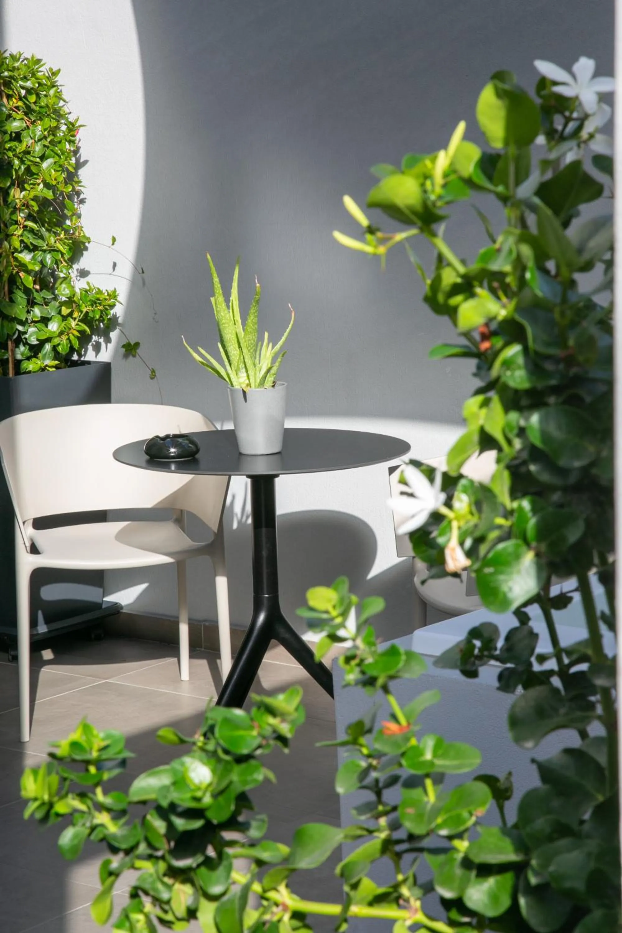 Patio in Marquise Suites - Adults Only