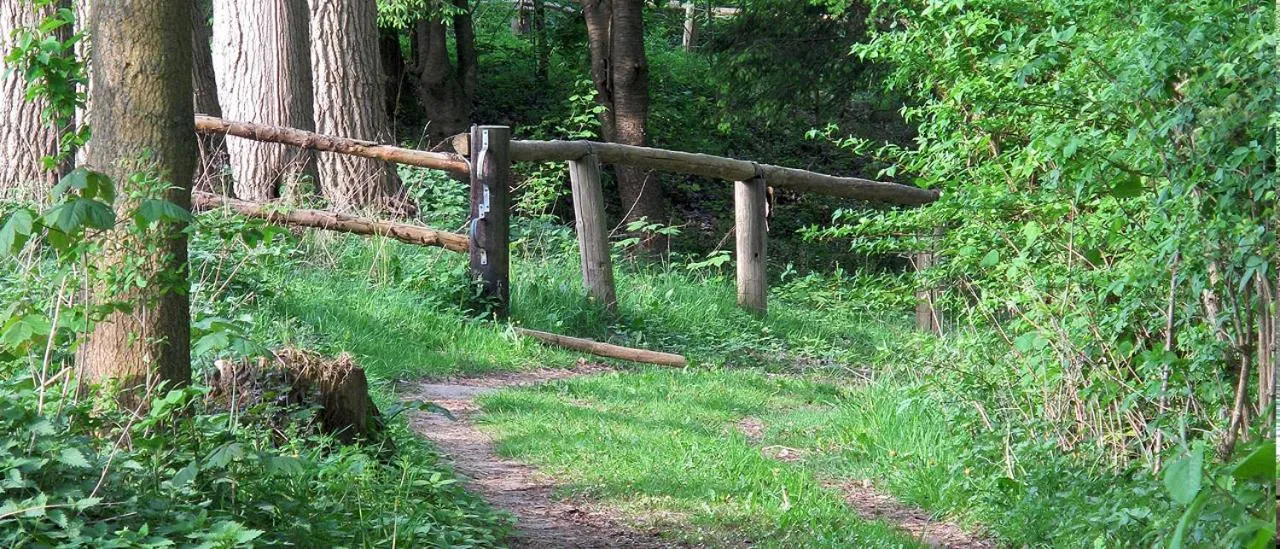 Natural landscape in Hotel Restaurant Huxmühle