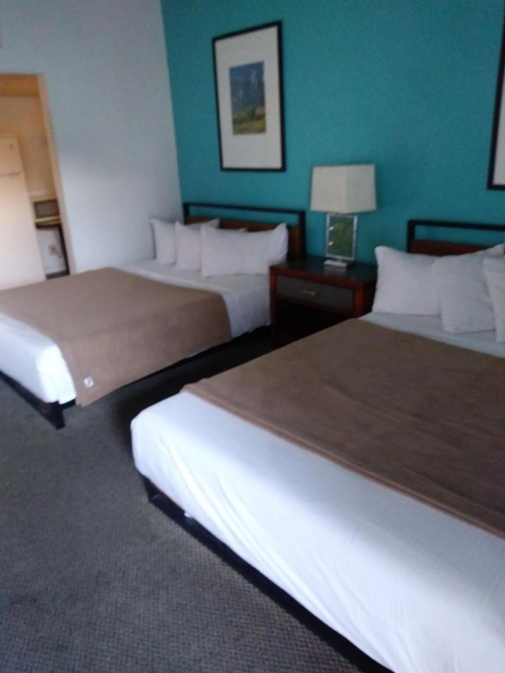 Bed in Desert Hills Motel