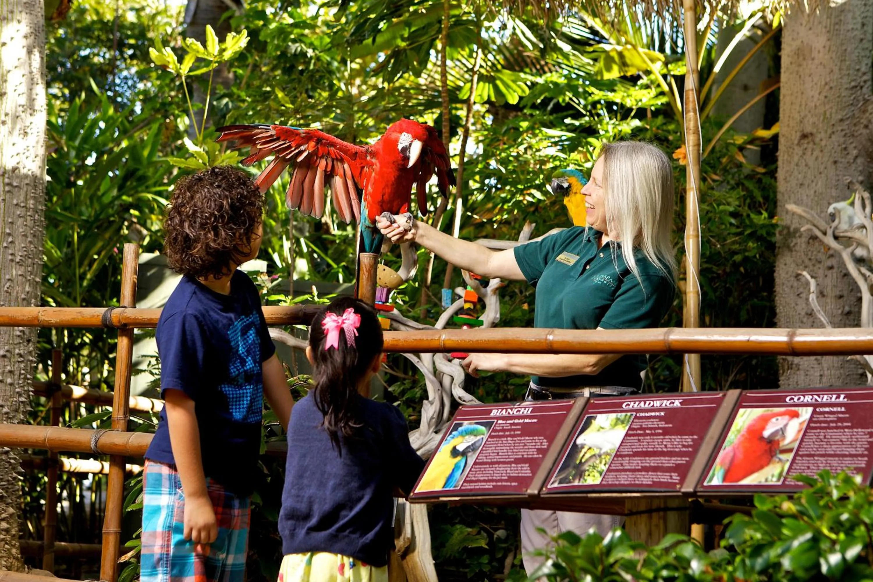 People in Catamaran Resort Hotel and Spa