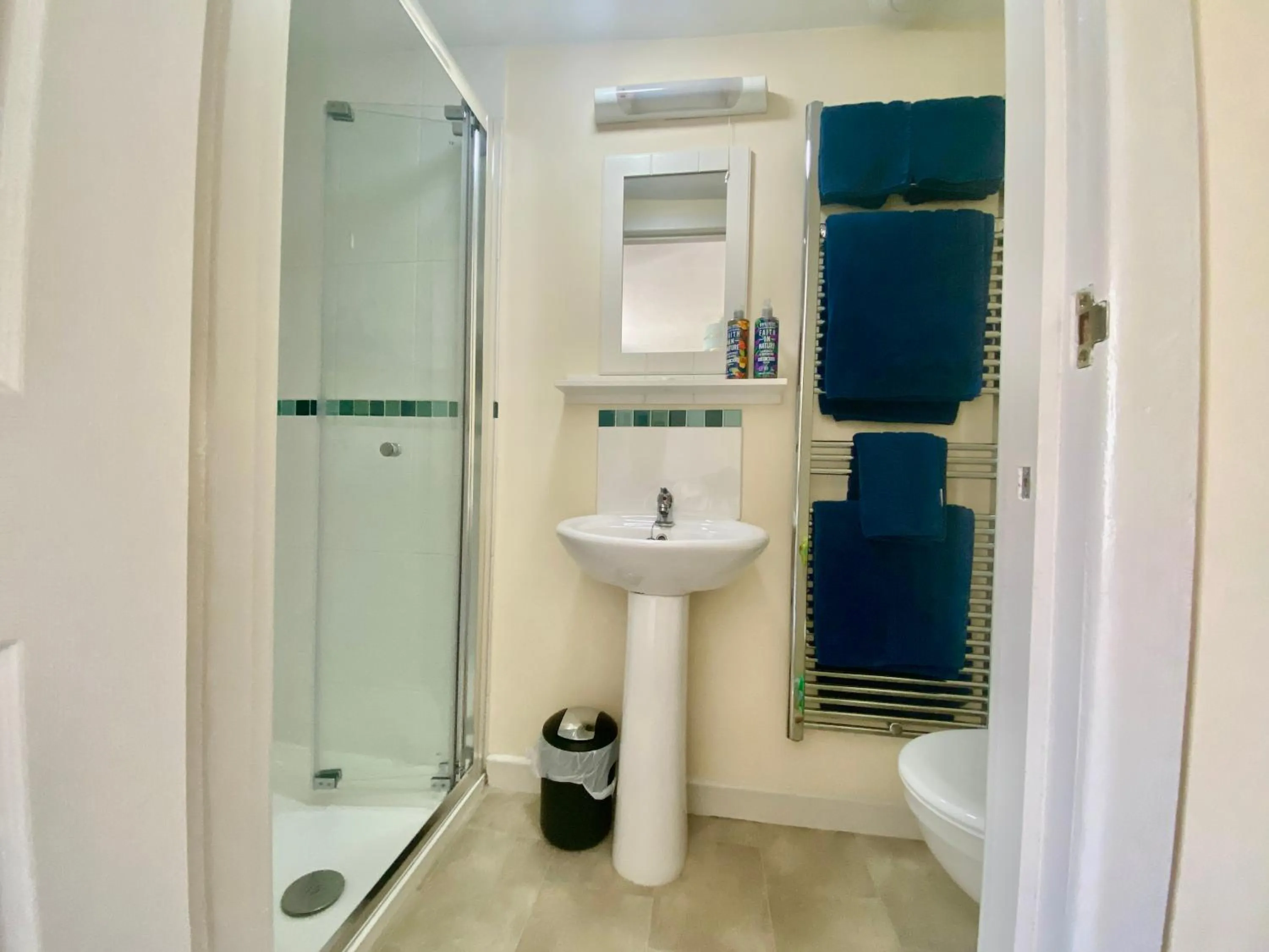 Shower in Lynwood House Bed and Breakfast