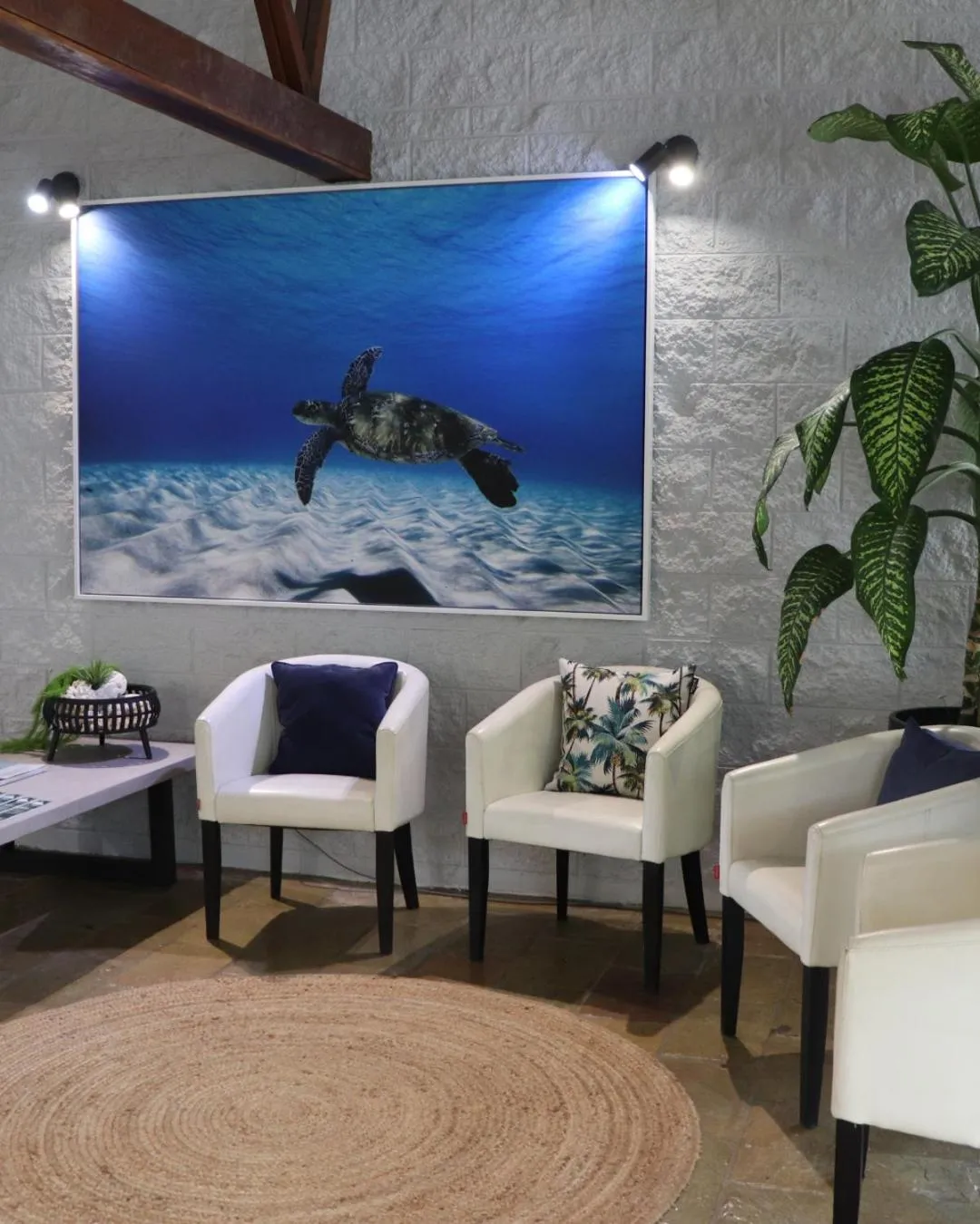 Lobby or reception in Colonial Palms Motor Inn