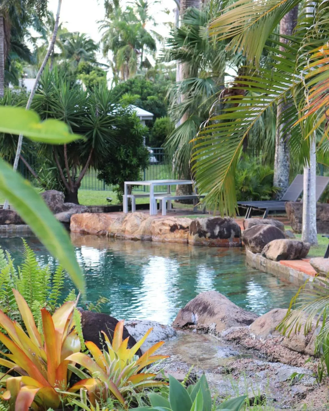 Garden in Colonial Palms Motor Inn
