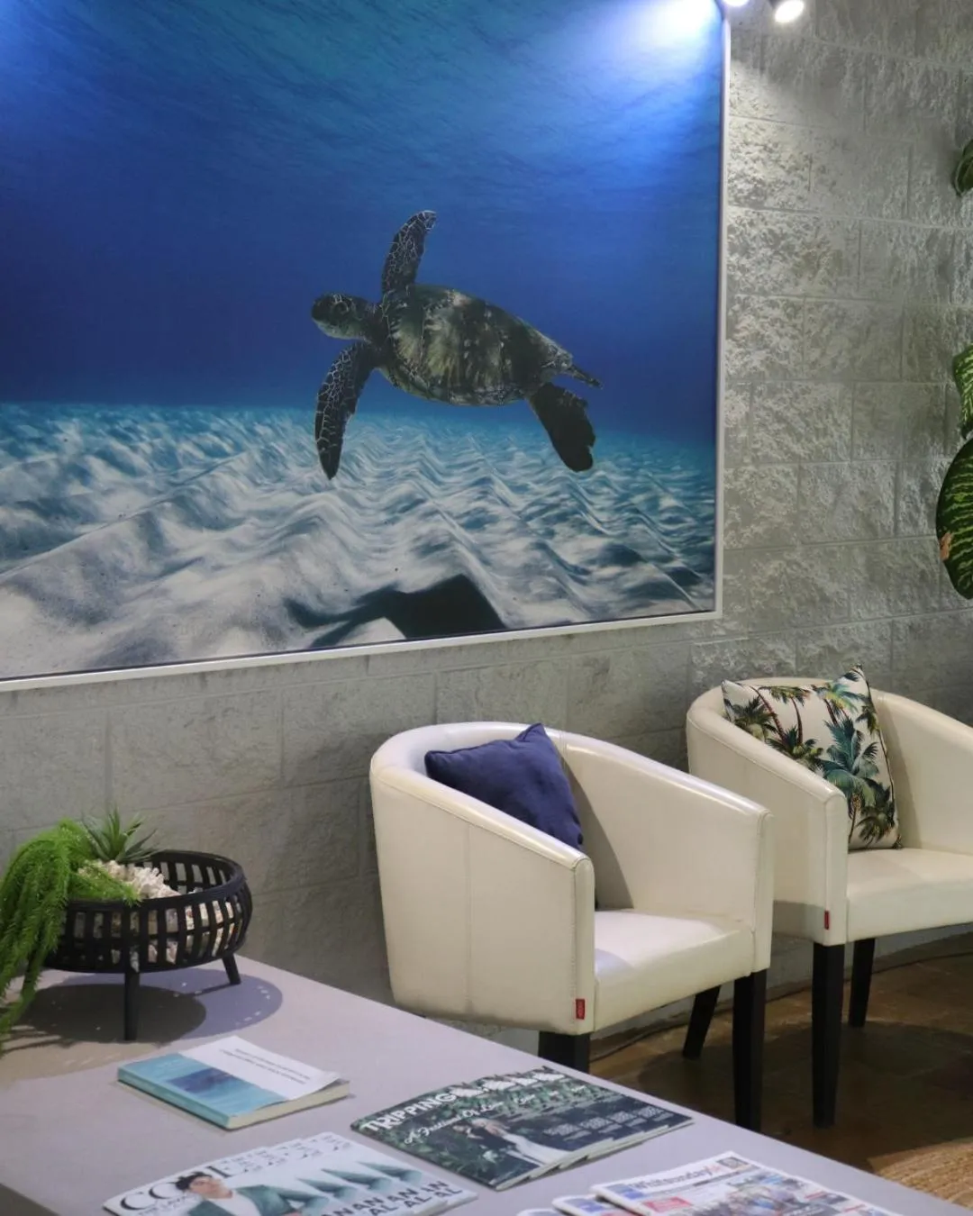 Lobby or reception in Colonial Palms Motor Inn