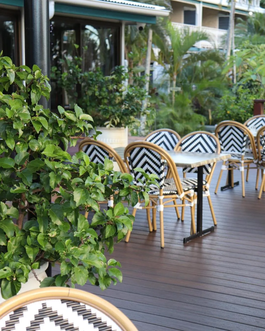 Patio in Colonial Palms Motor Inn