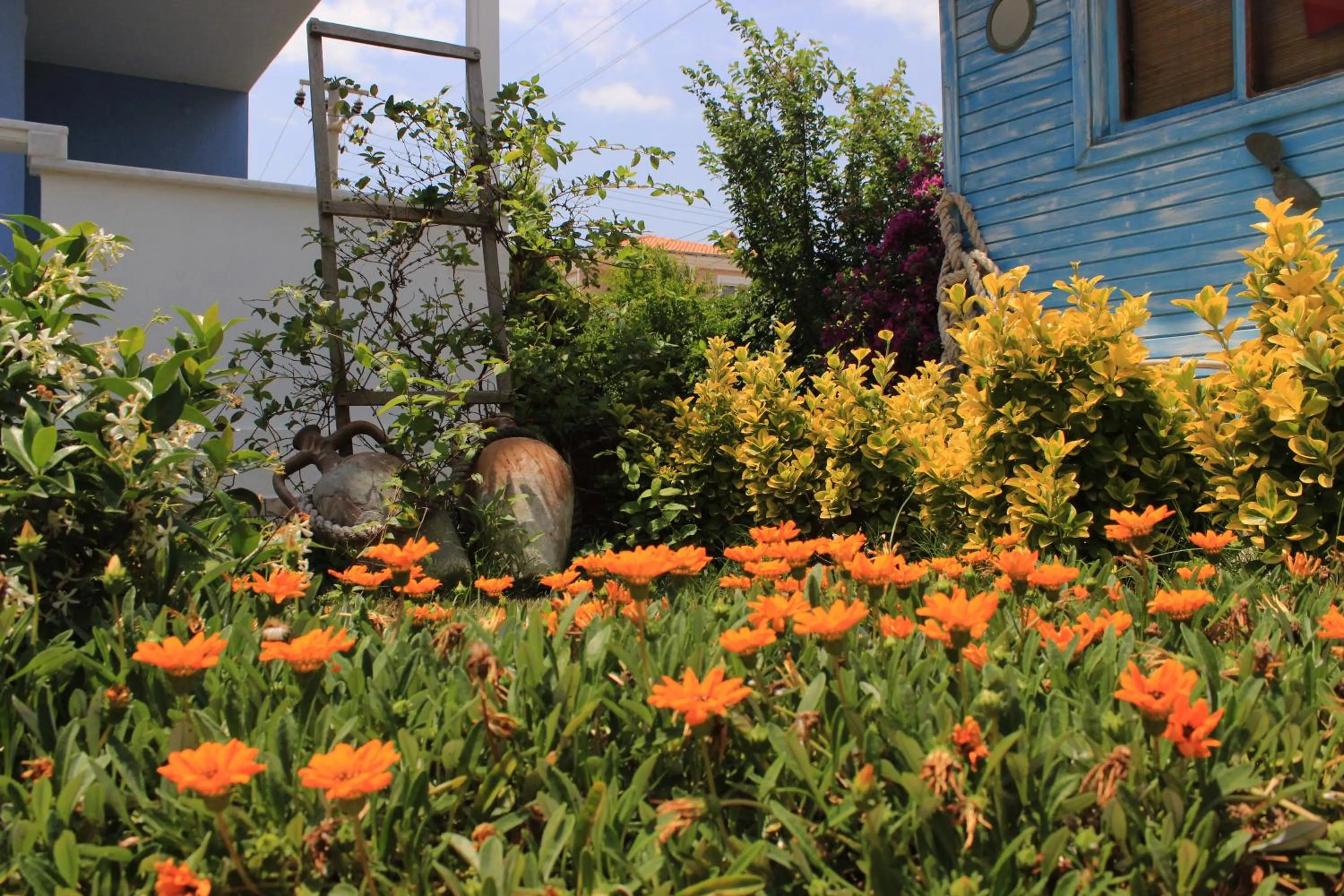 Garden in Cundavilla Hotel & Suites