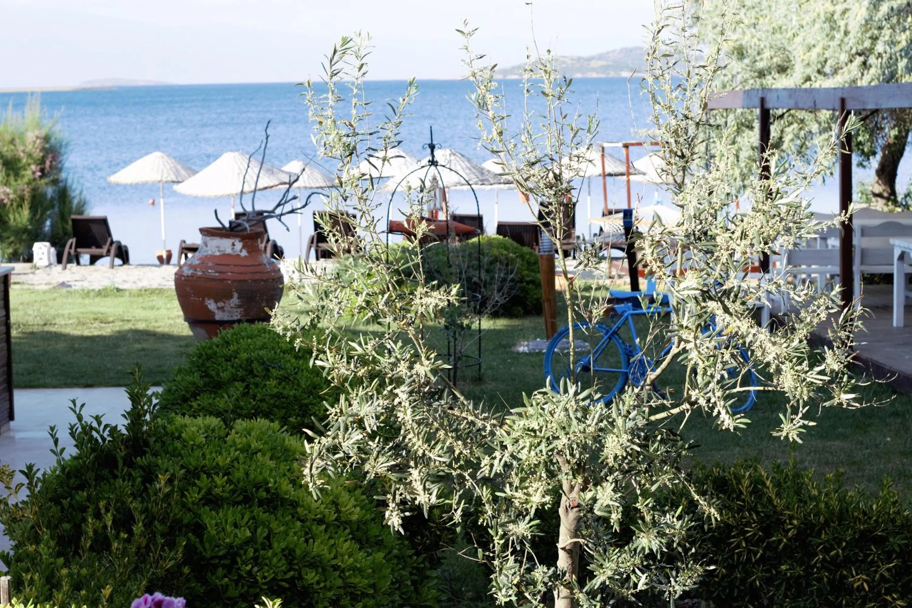 Garden in Cundavilla Hotel & Suites