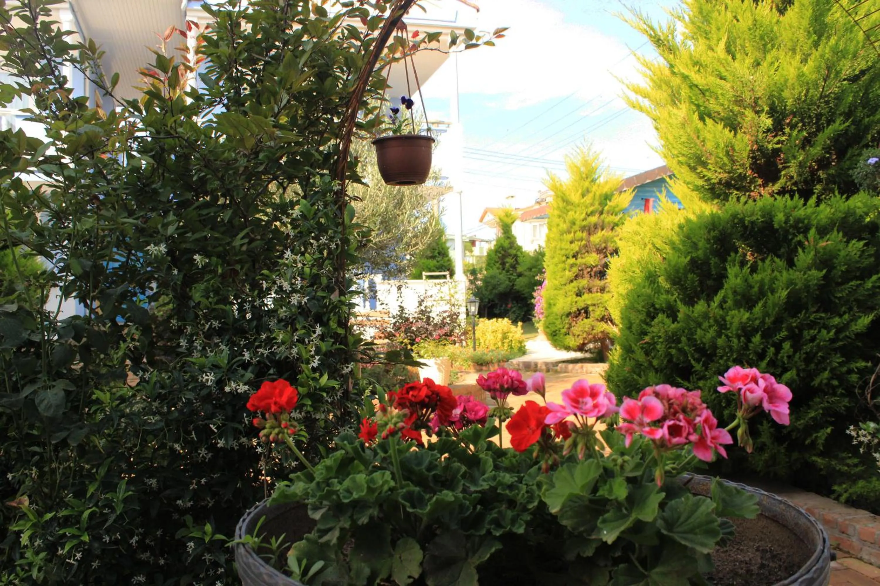 Garden in Cundavilla Hotel & Suites