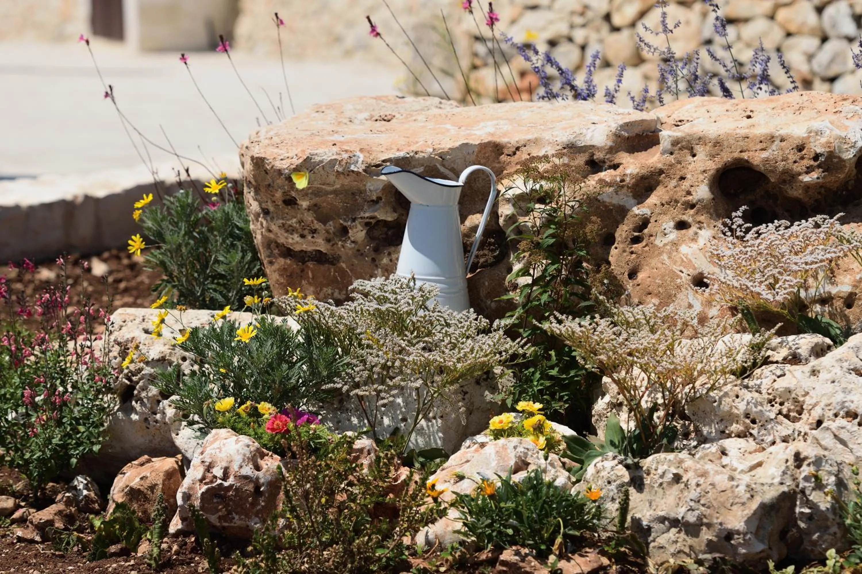 Masseria Calandrella