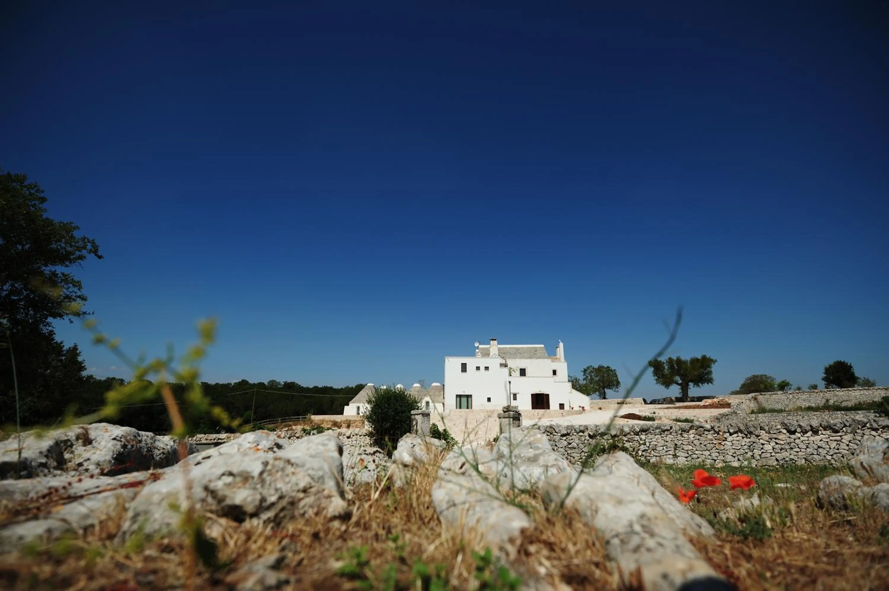 Masseria Calandrella