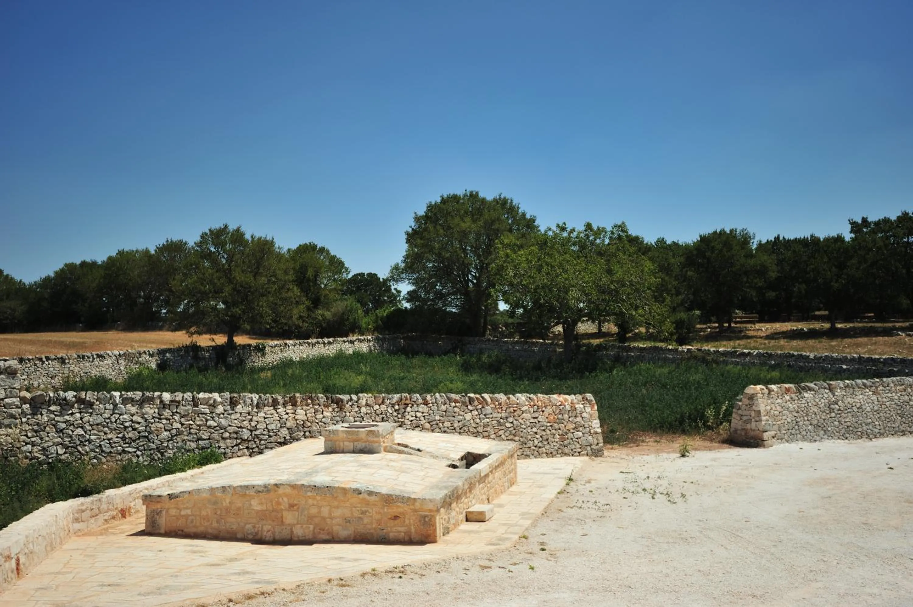 Garden view in Masseria Calandrella