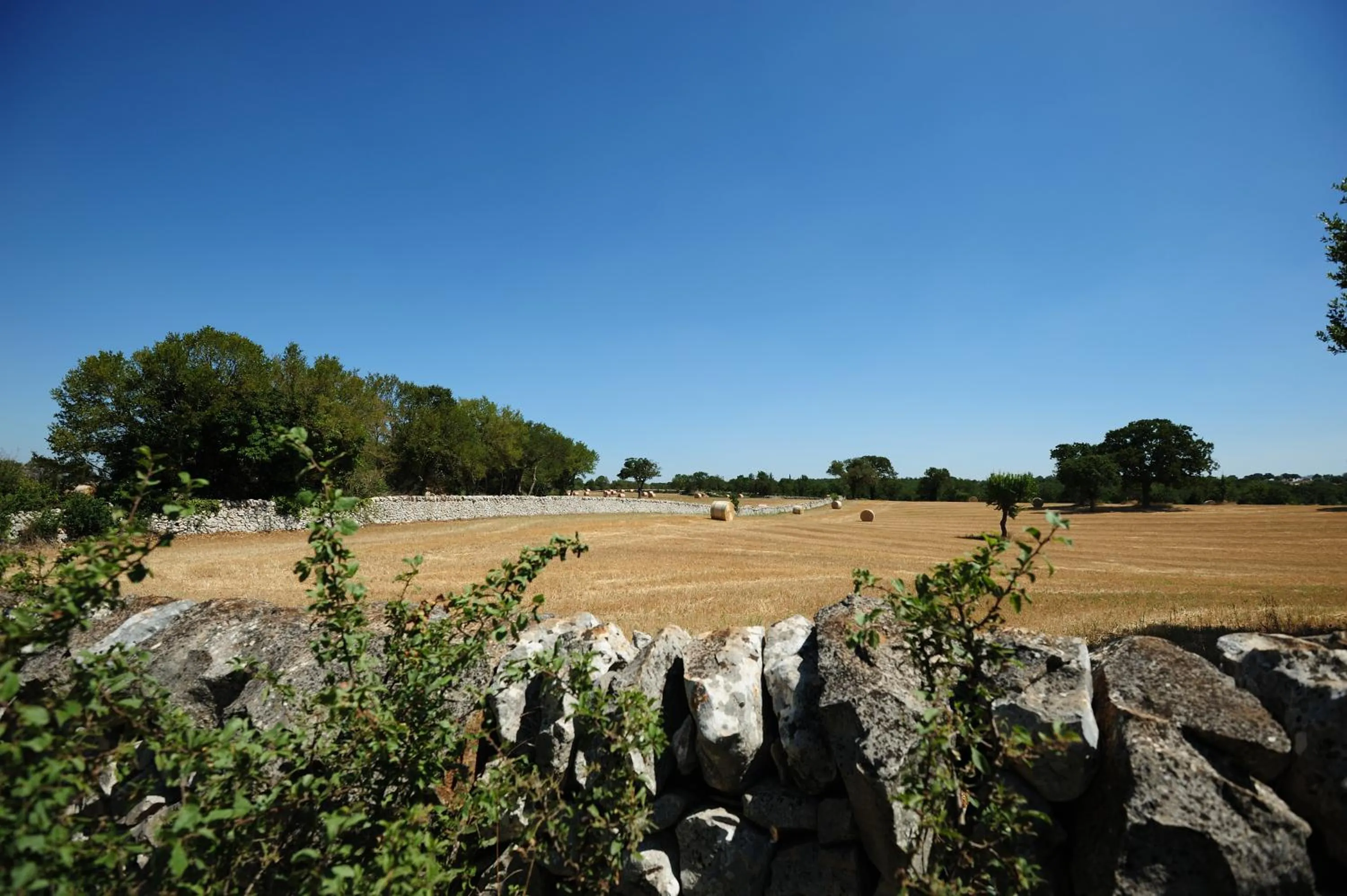 Masseria Calandrella