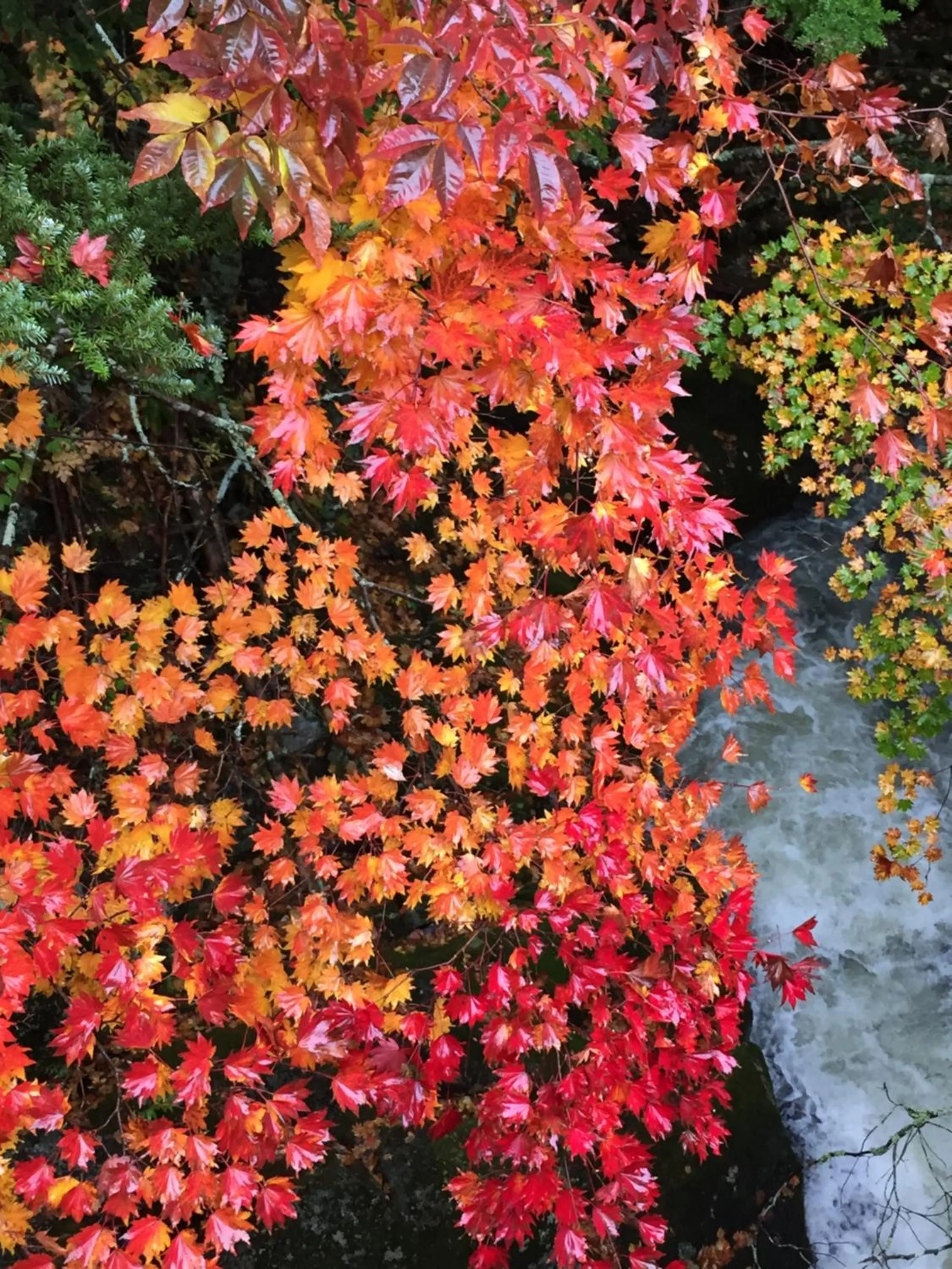 Guesthouse Hoshizora no Akari