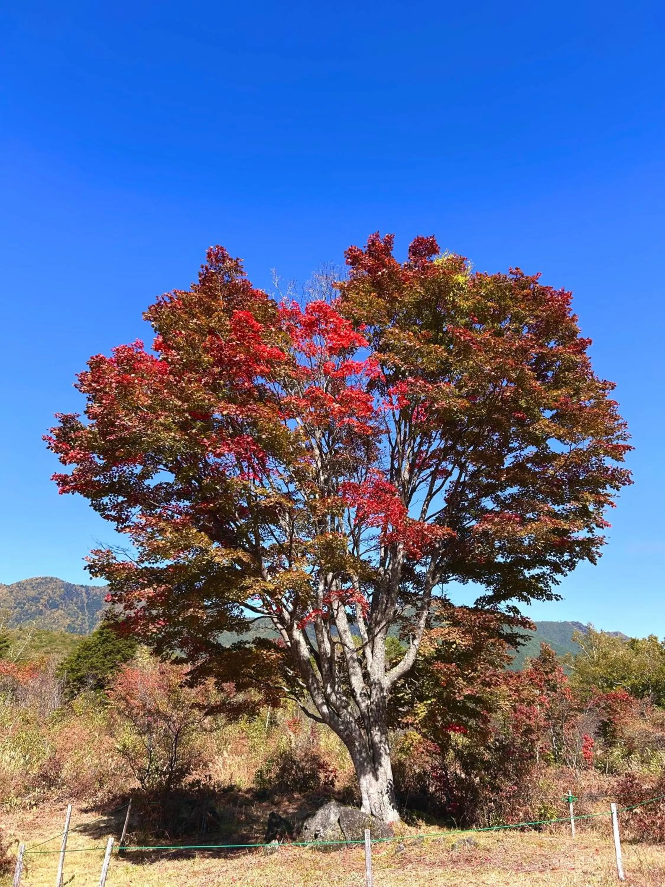 Guesthouse Hoshizora no Akari