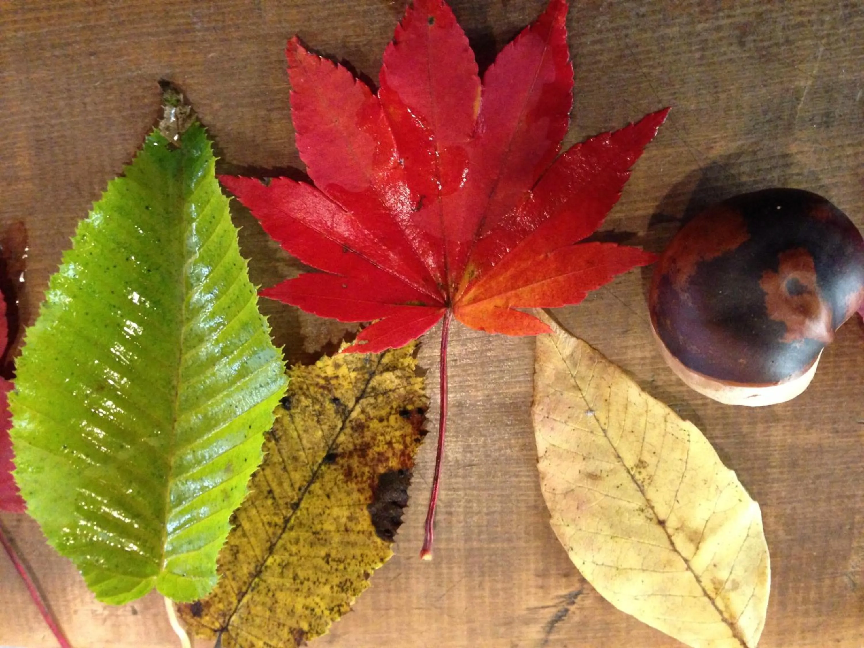 Guesthouse Hoshizora no Akari