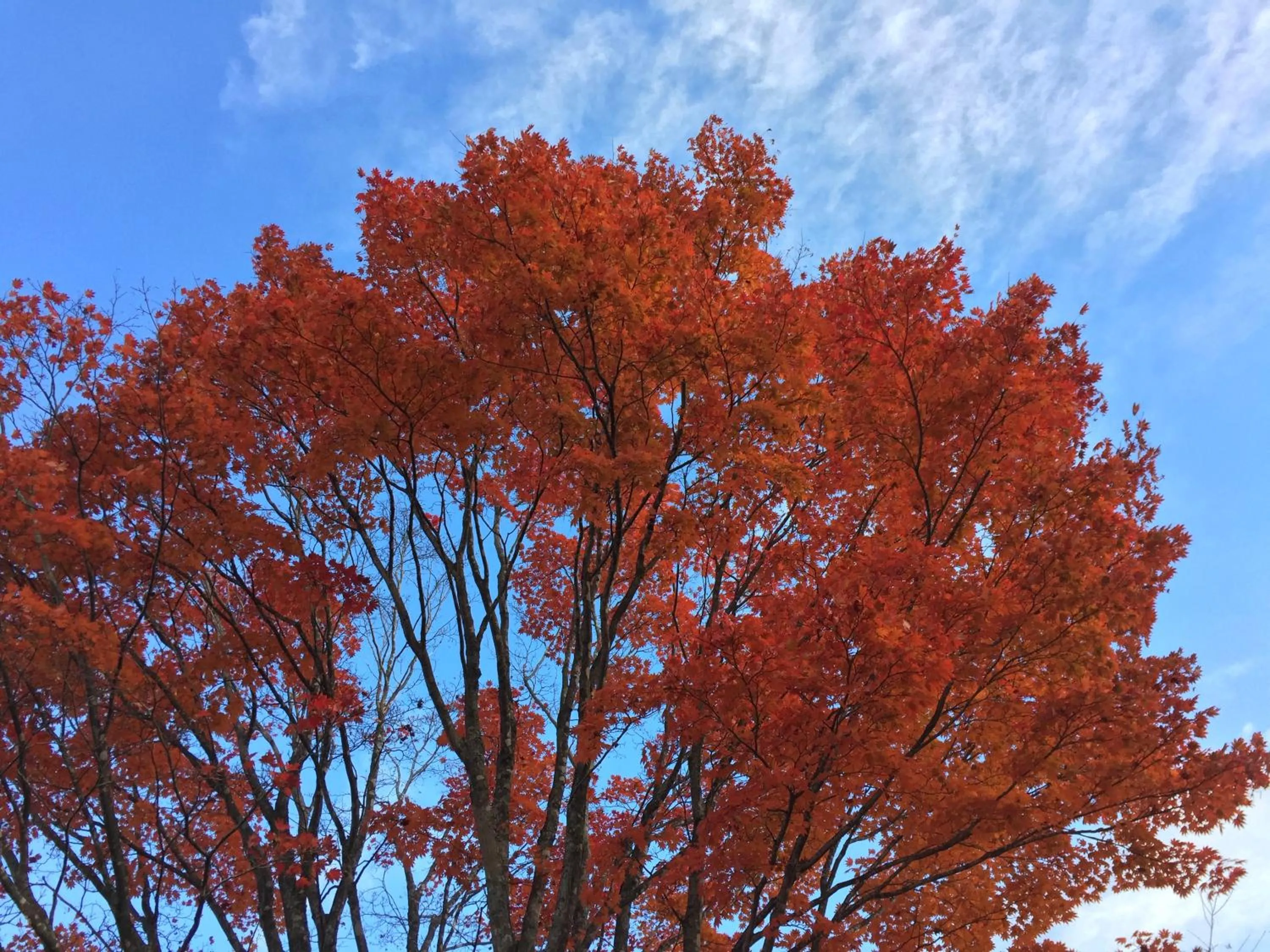 Guesthouse Hoshizora no Akari