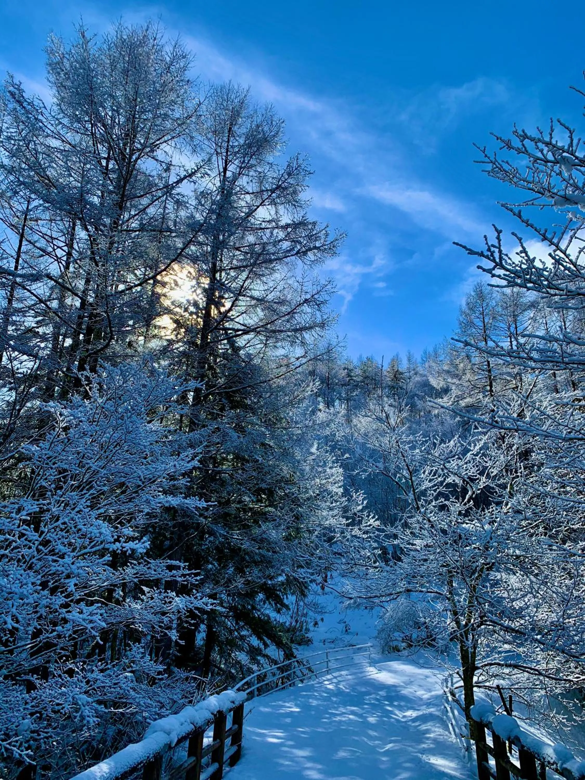 Guesthouse Hoshizora no Akari