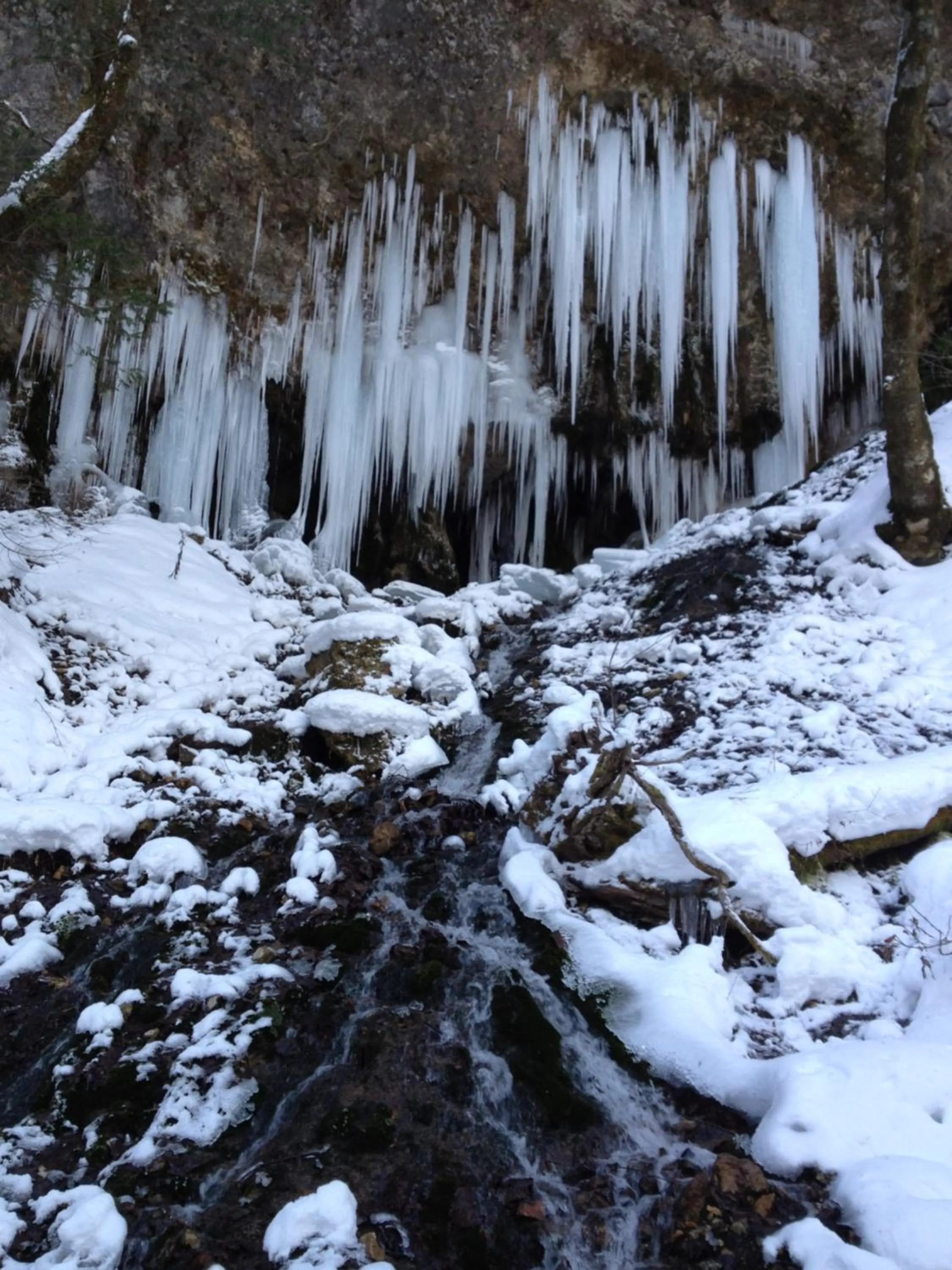 Guesthouse Hoshizora no Akari