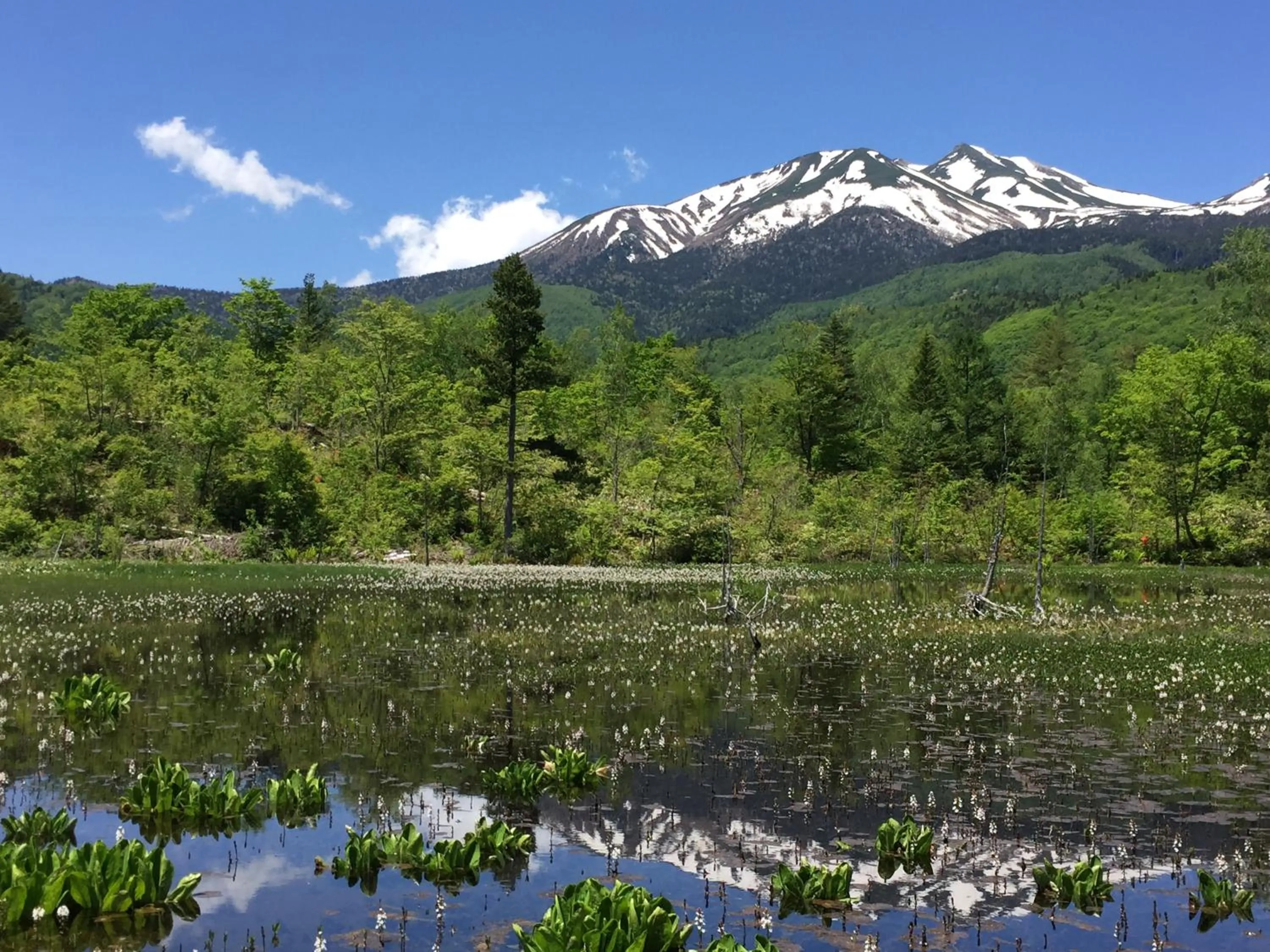 Guesthouse Hoshizora no Akari