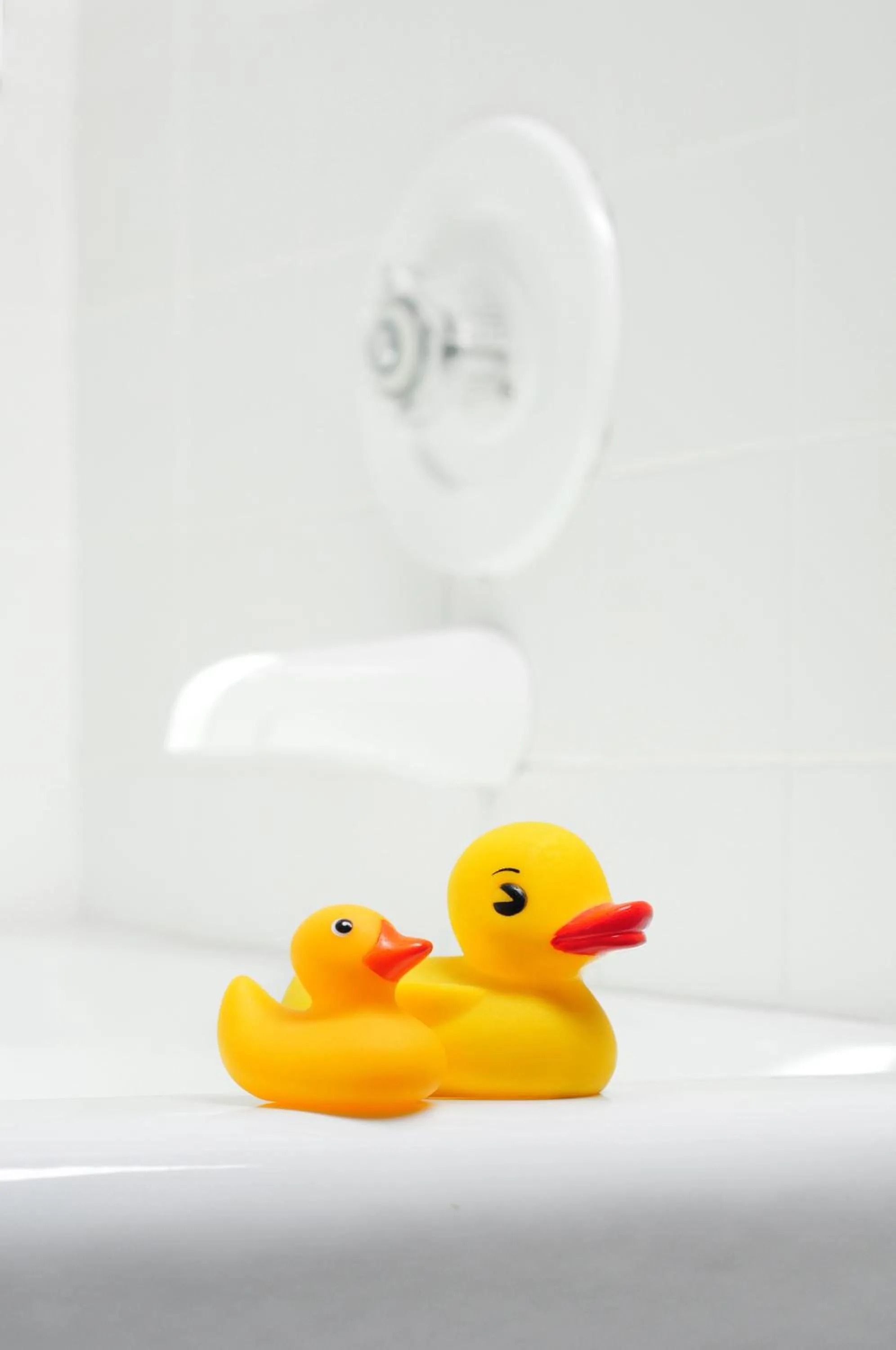 Bathroom in 1795 Acorn Inn Bed and Breakfast
