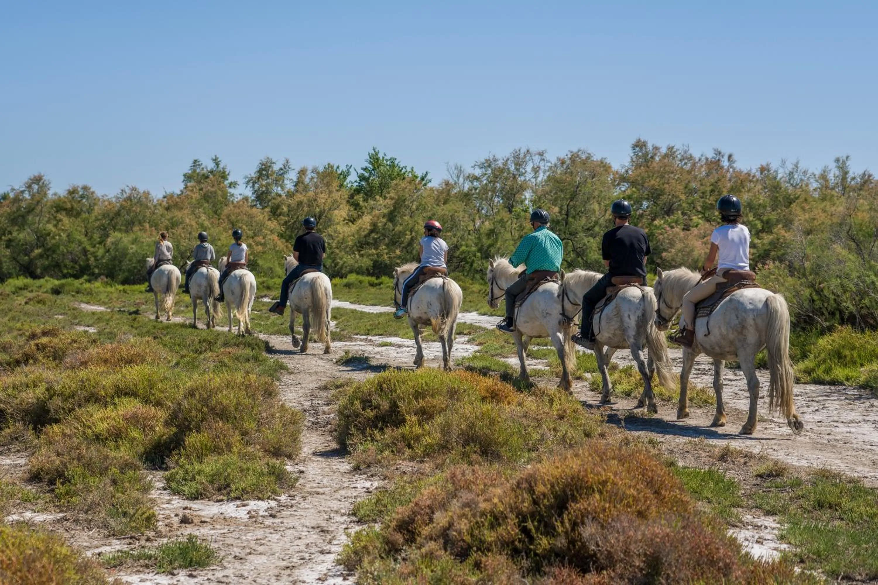 Horse-riding in Mas De Calabrun
