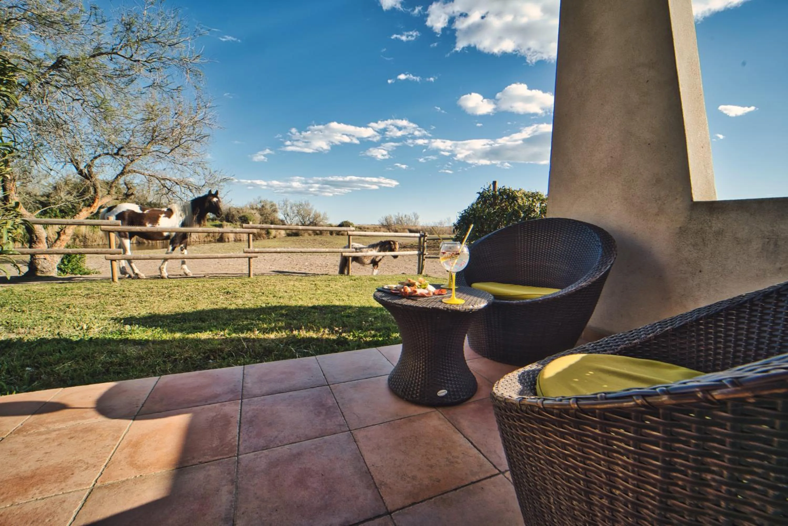 Patio in Mas De Calabrun