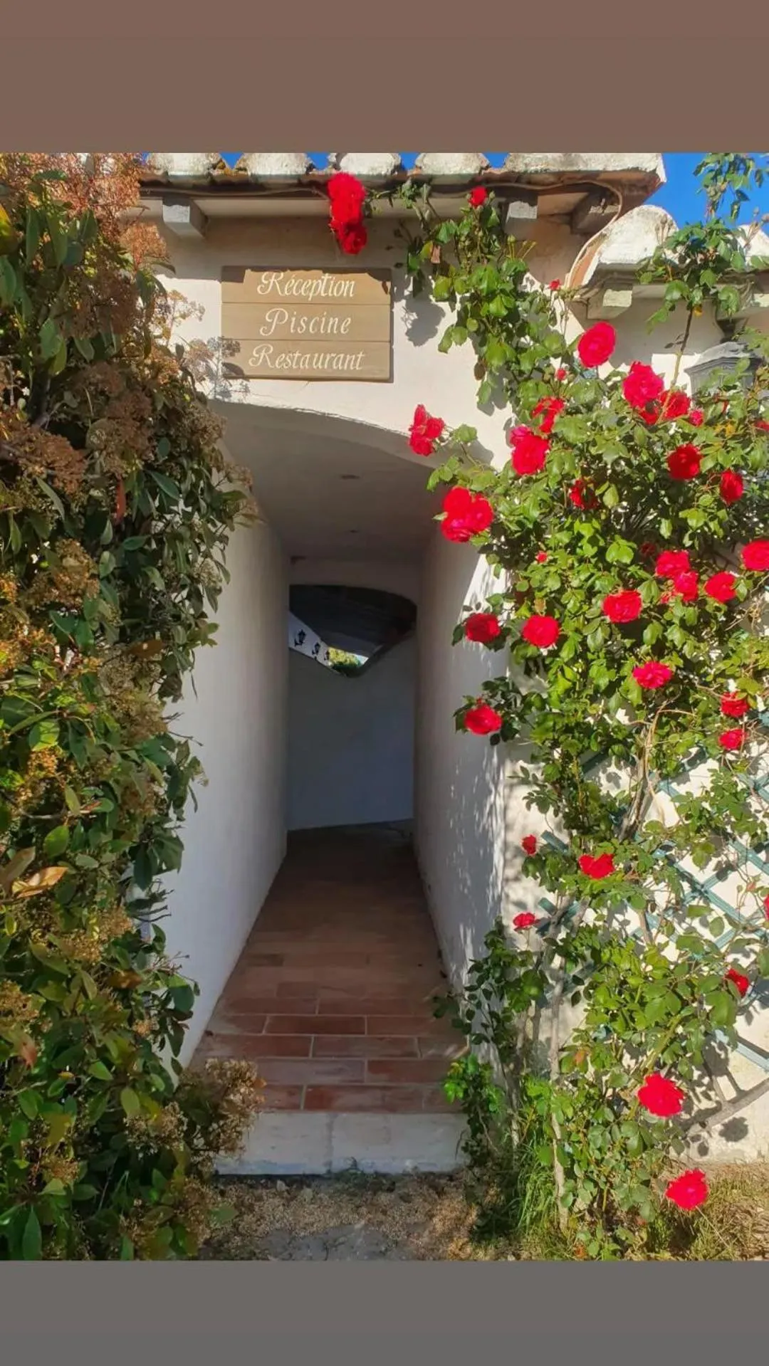 Day in Mas De Calabrun