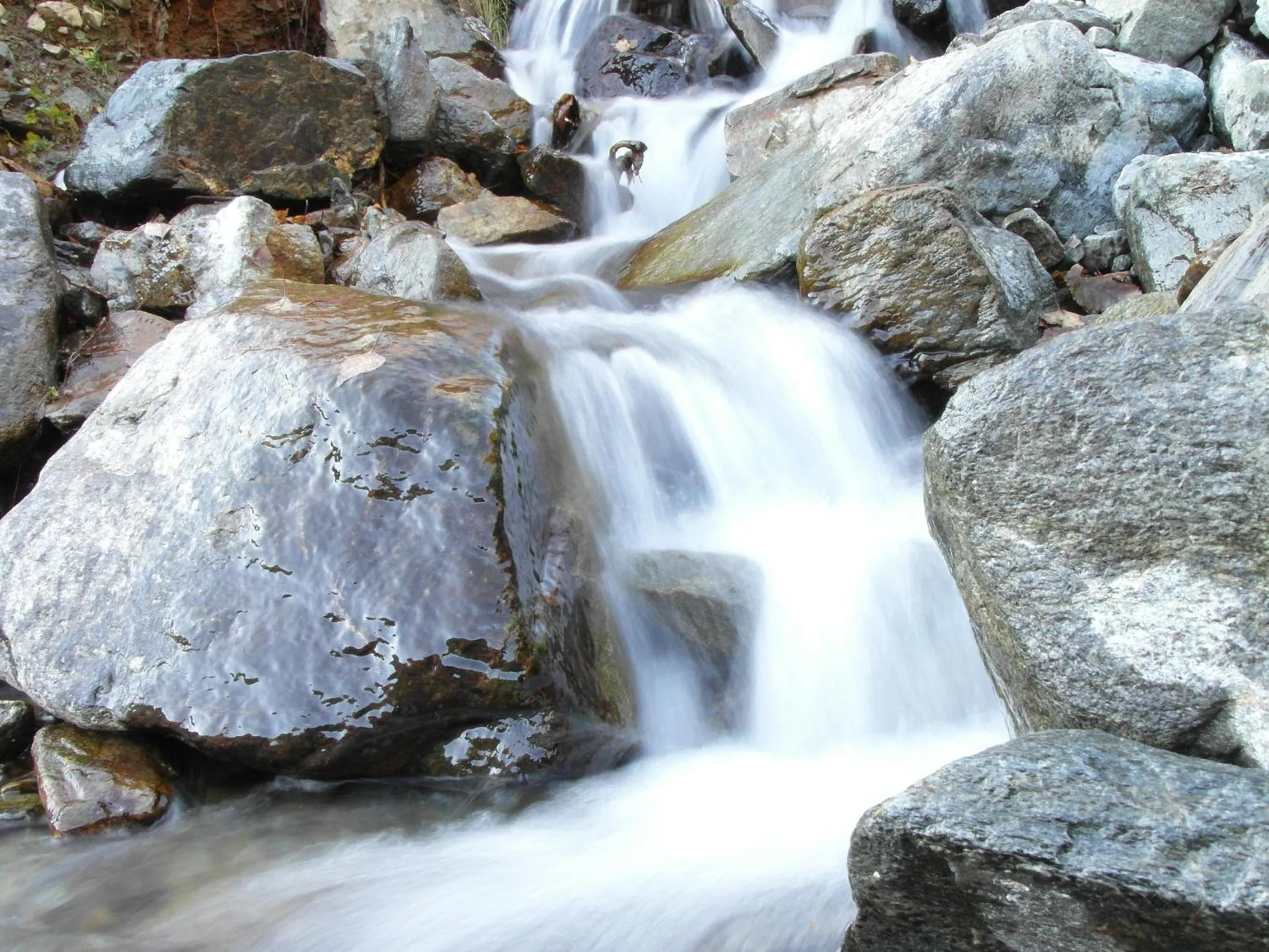 Natural landscape in Apartments Kappl