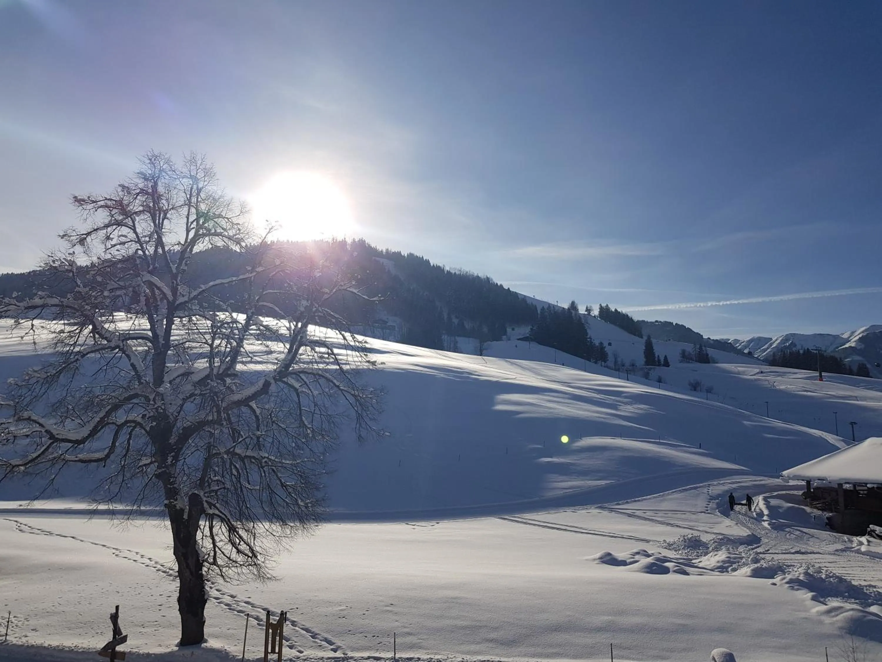Natural landscape in Hotel Sonnenlicht Maria Alm