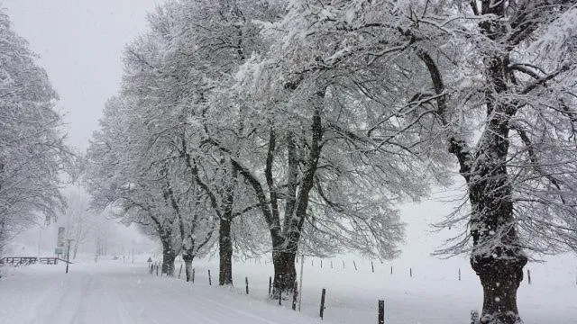 Breakfast in Hotel Sonnenlicht Maria Alm