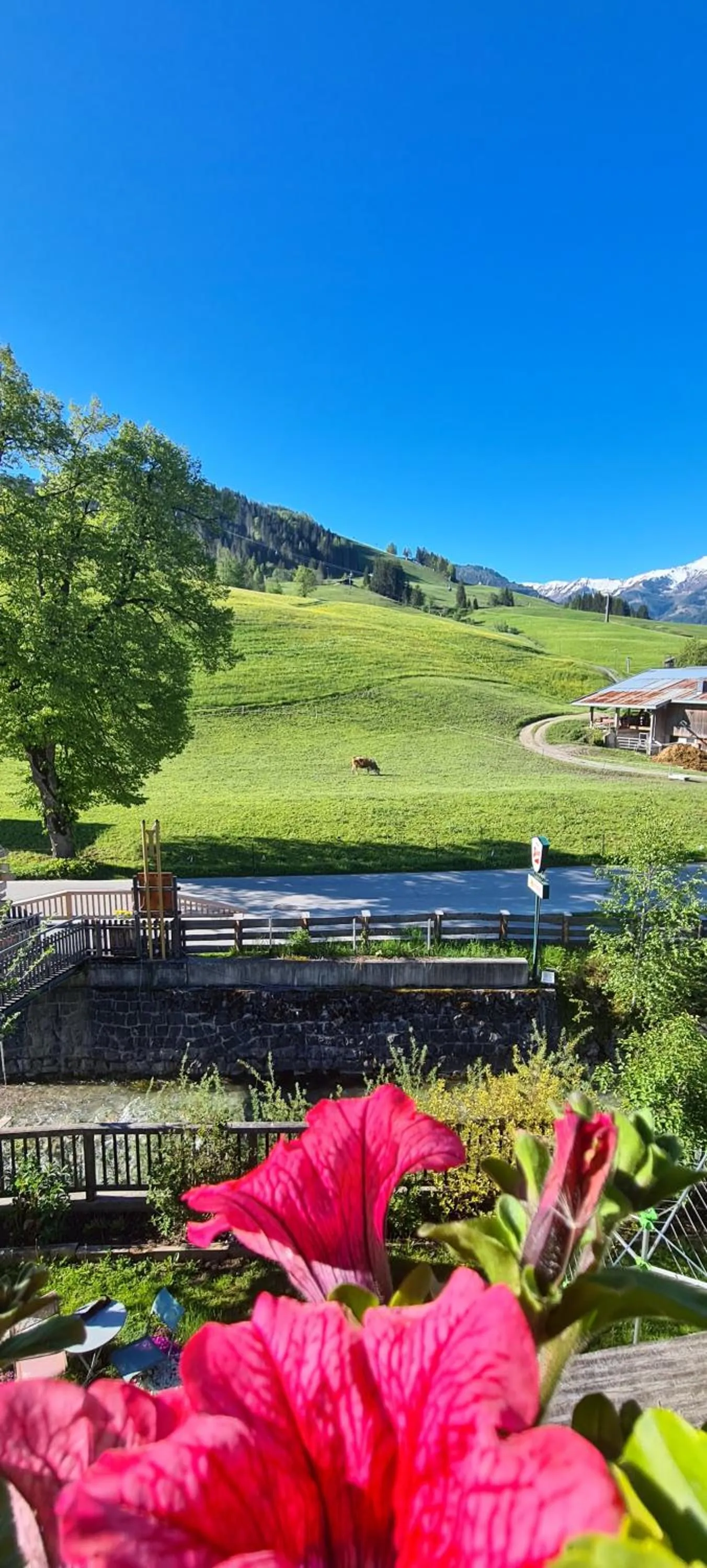 Mountain view in Hotel Sonnenlicht Maria Alm