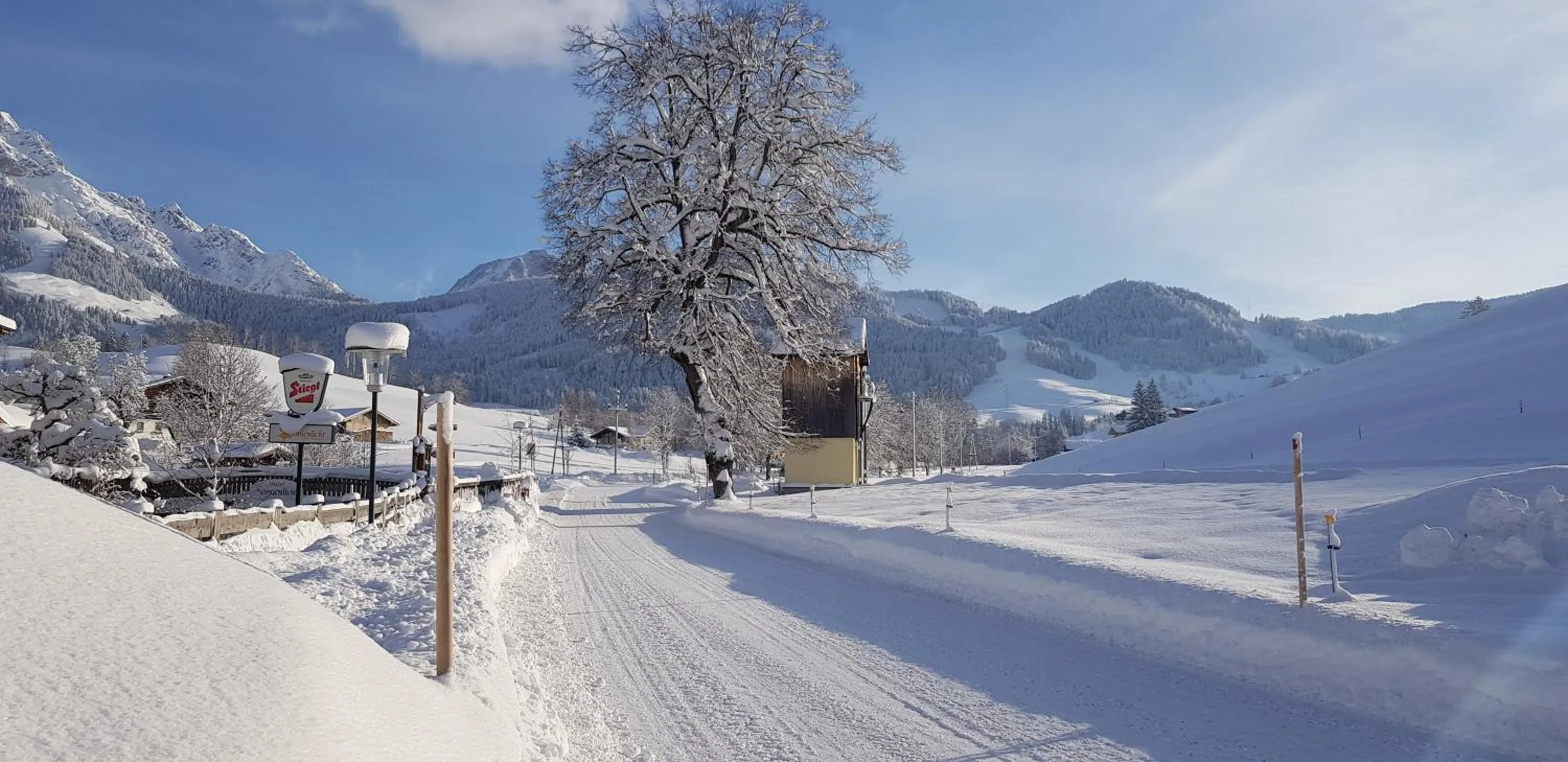 Natural landscape in Hotel Sonnenlicht Maria Alm