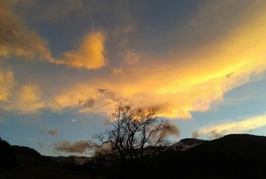 Breakfast in Hotel Sonnenlicht Maria Alm