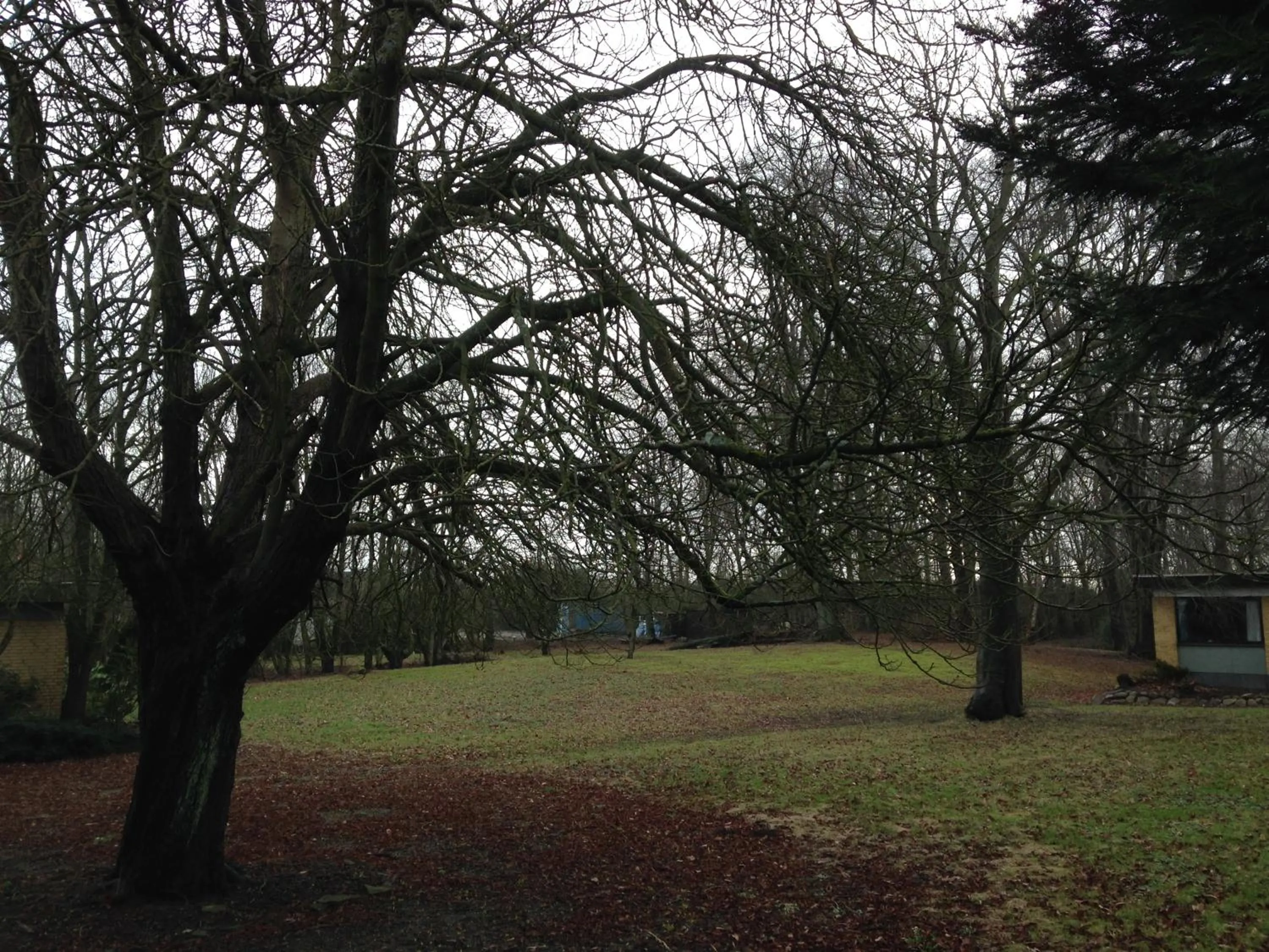 Garden view in Blommenslyst Kro