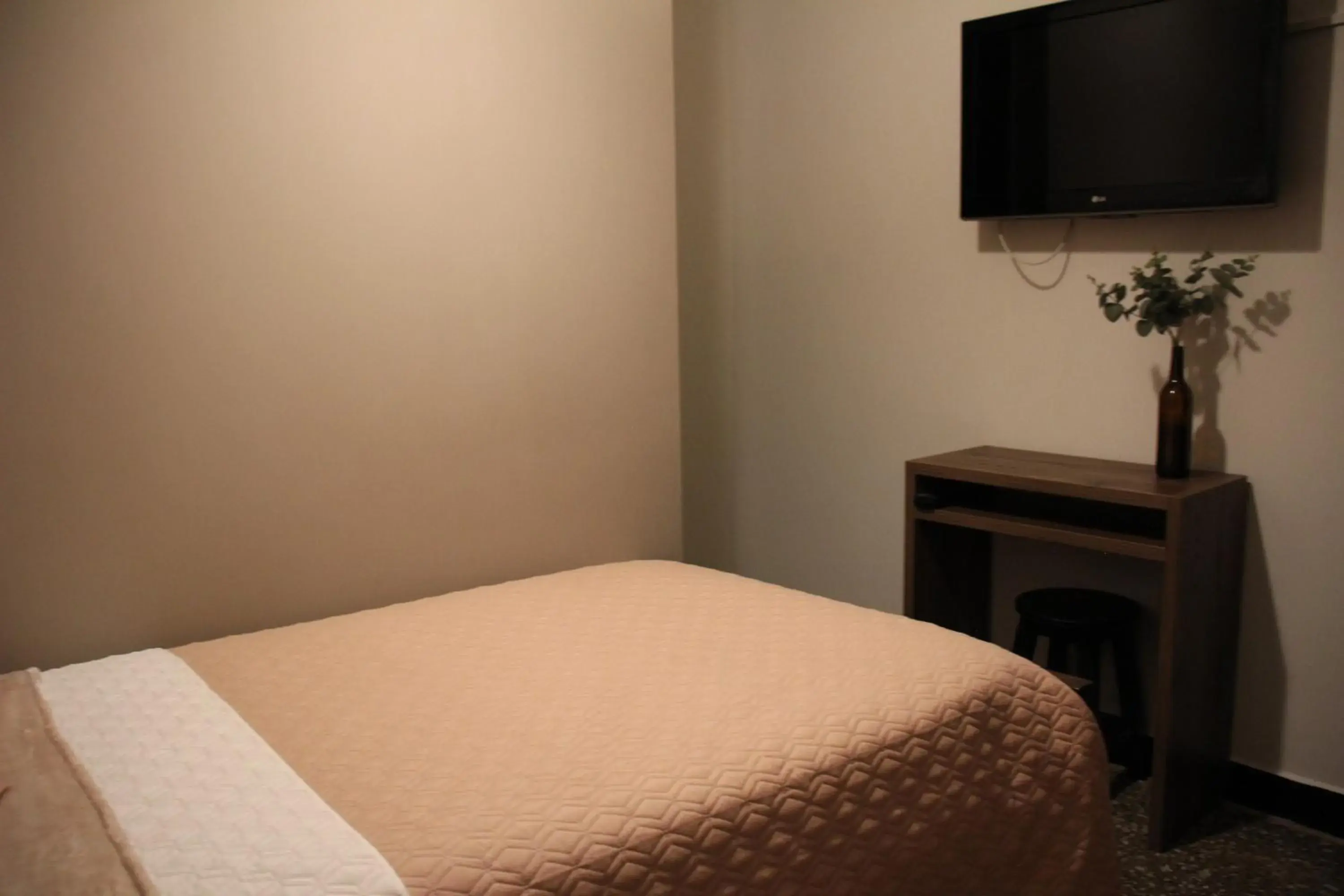 Single Room in Hotel Plaza El Santuario Single Room in Hotel Plaza El Santuario