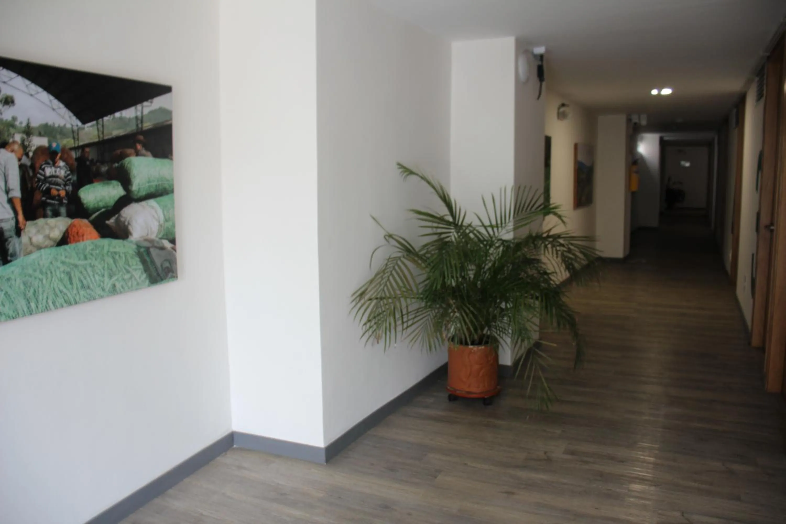 Hotel Plaza El Santuario