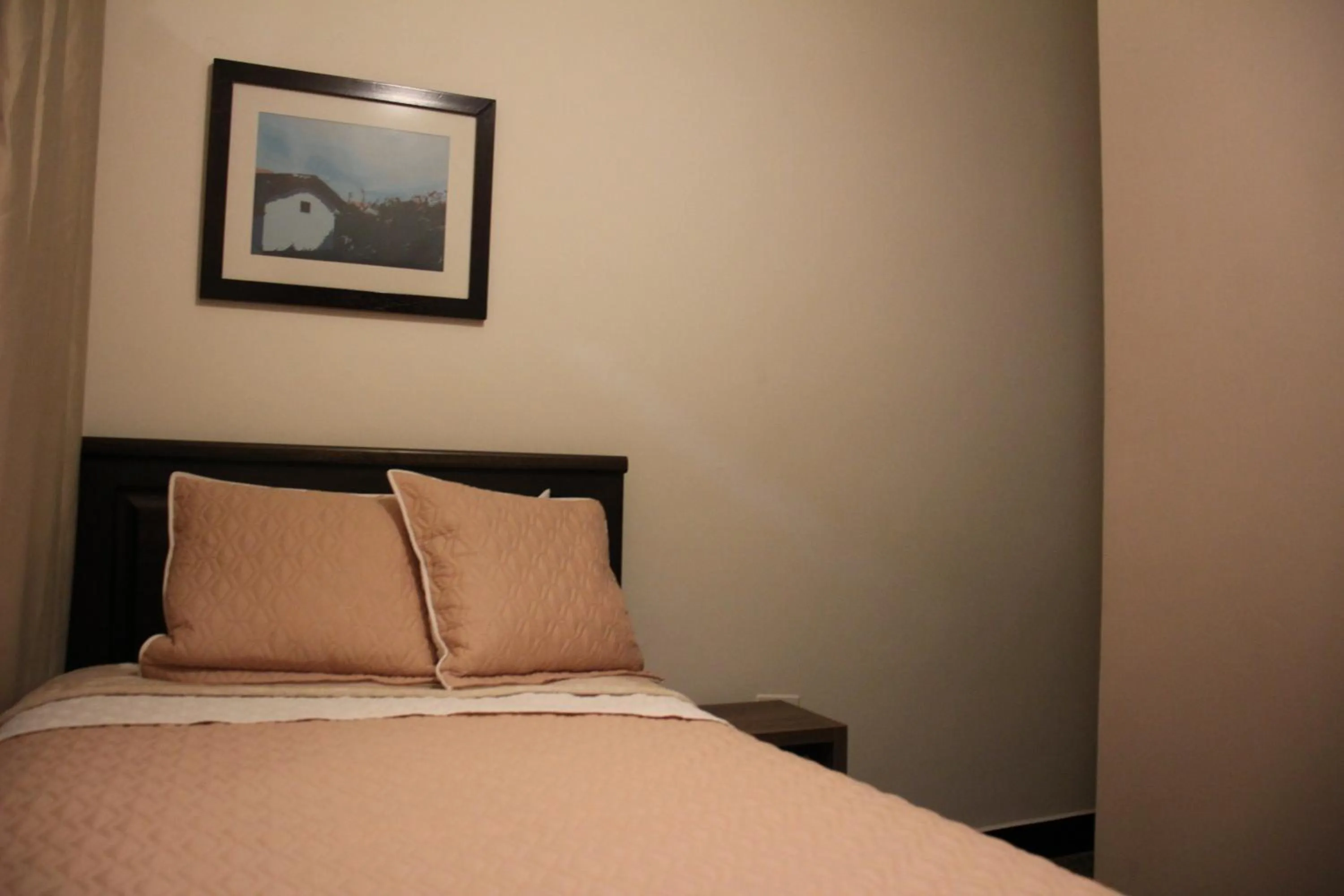 Single Room in Hotel Plaza El Santuario