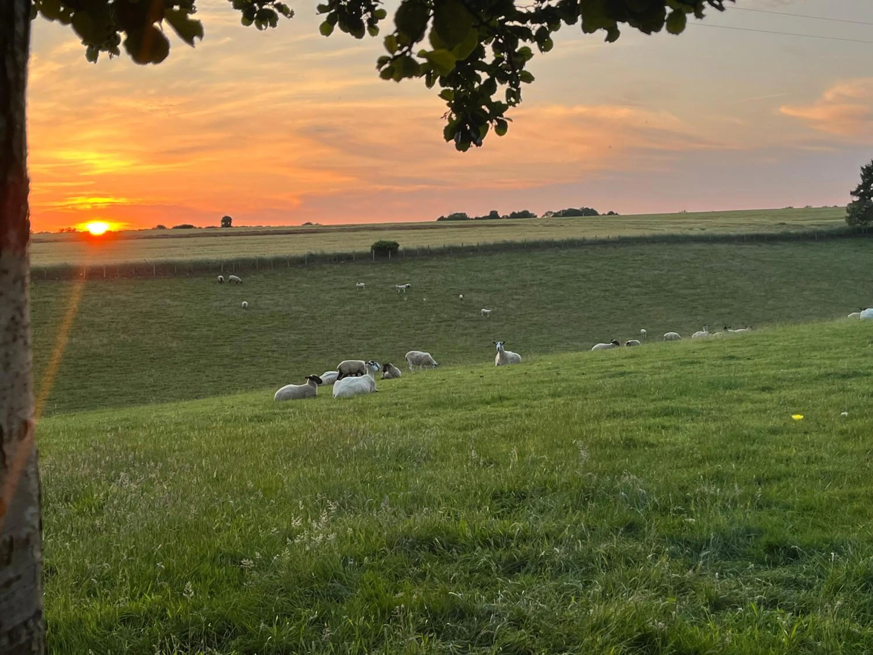 Natural landscape in Cottage Lea's Country Hotel & Restaurant