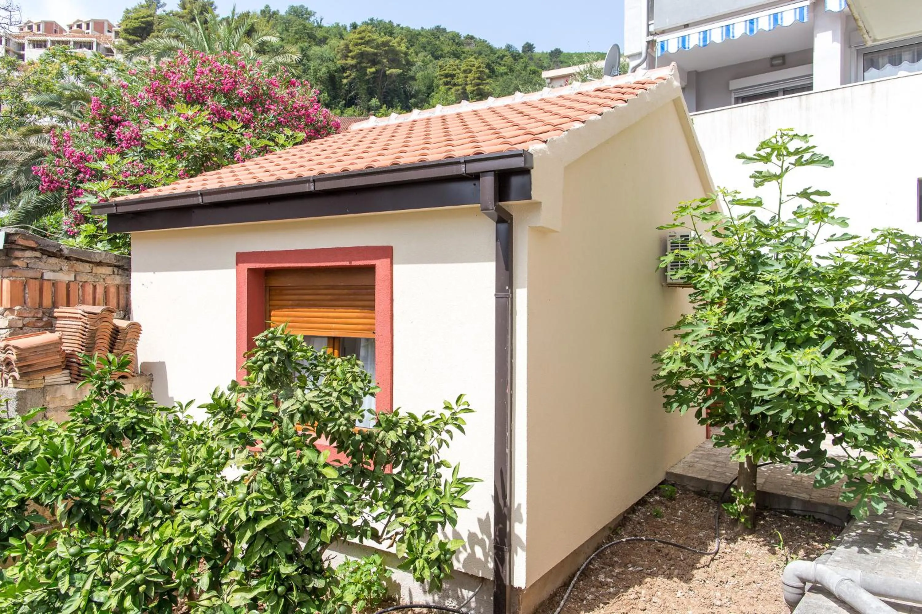 Facade/entrance in Guesthouse Blue Coast