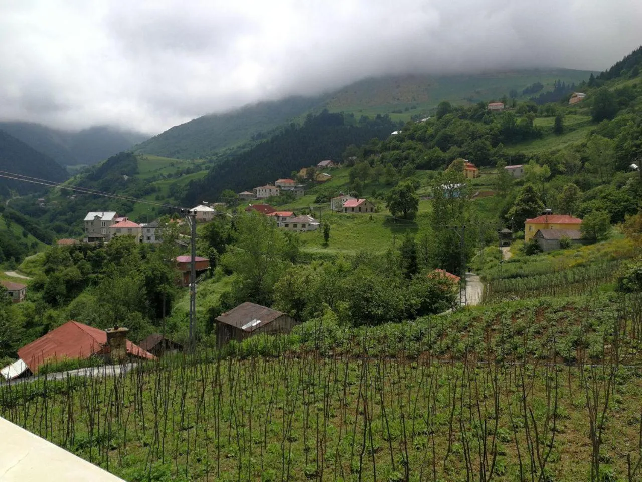 View (from property/room) in Hamsikoy Hotel