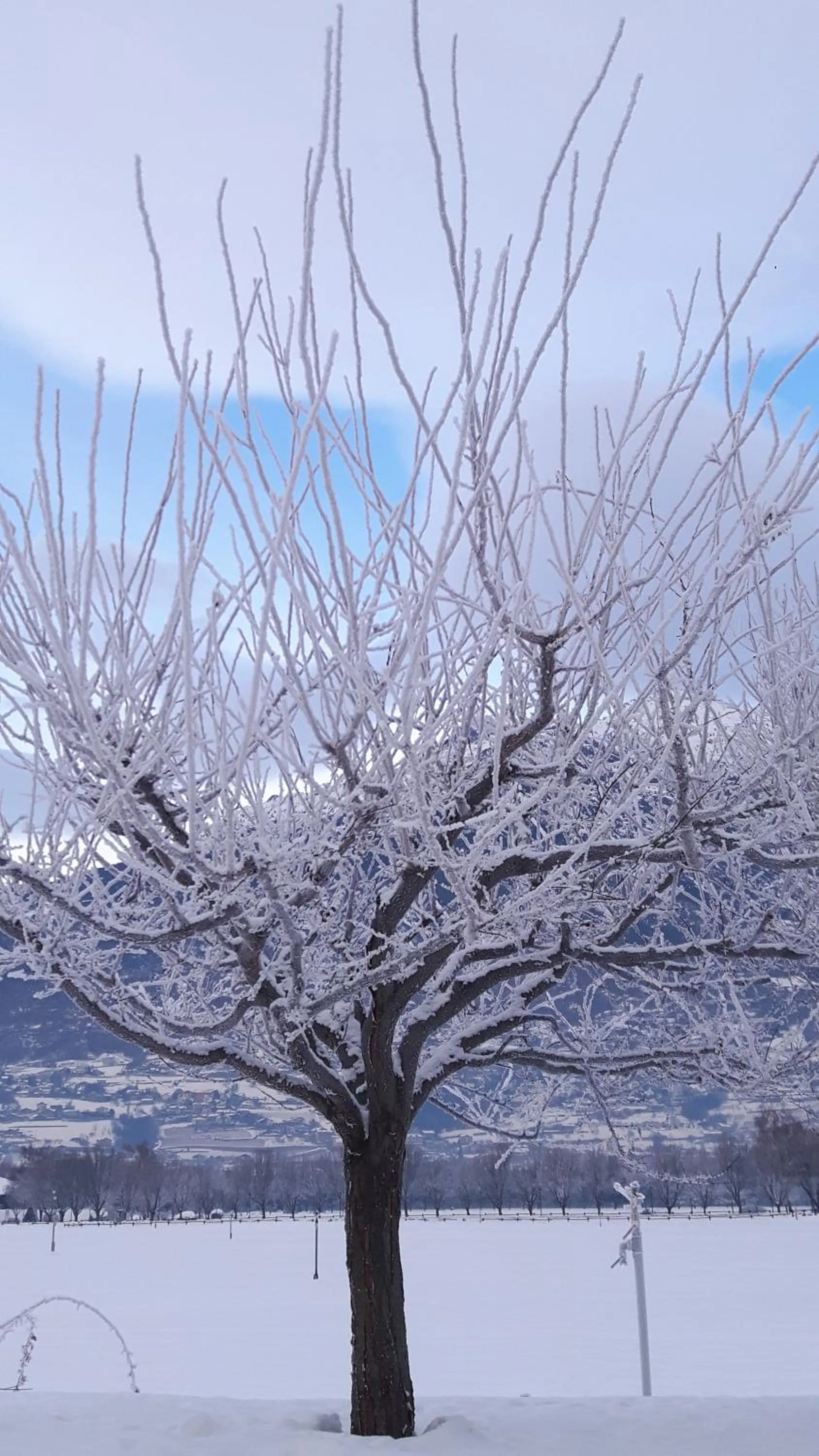 Natural landscape in La locanda del Mulino